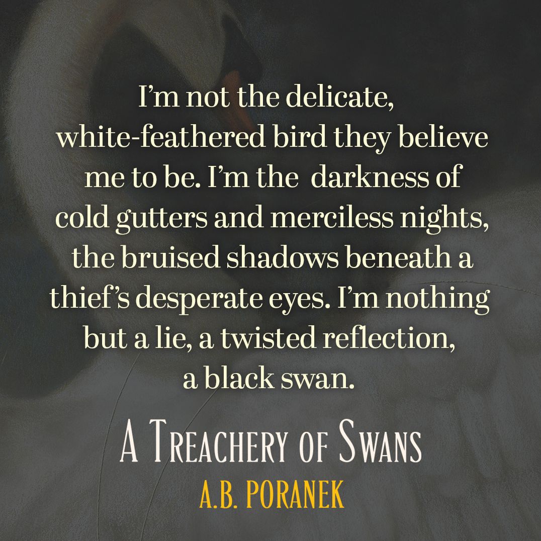 A Treachery of Swans (B&N Exclusive Edition)