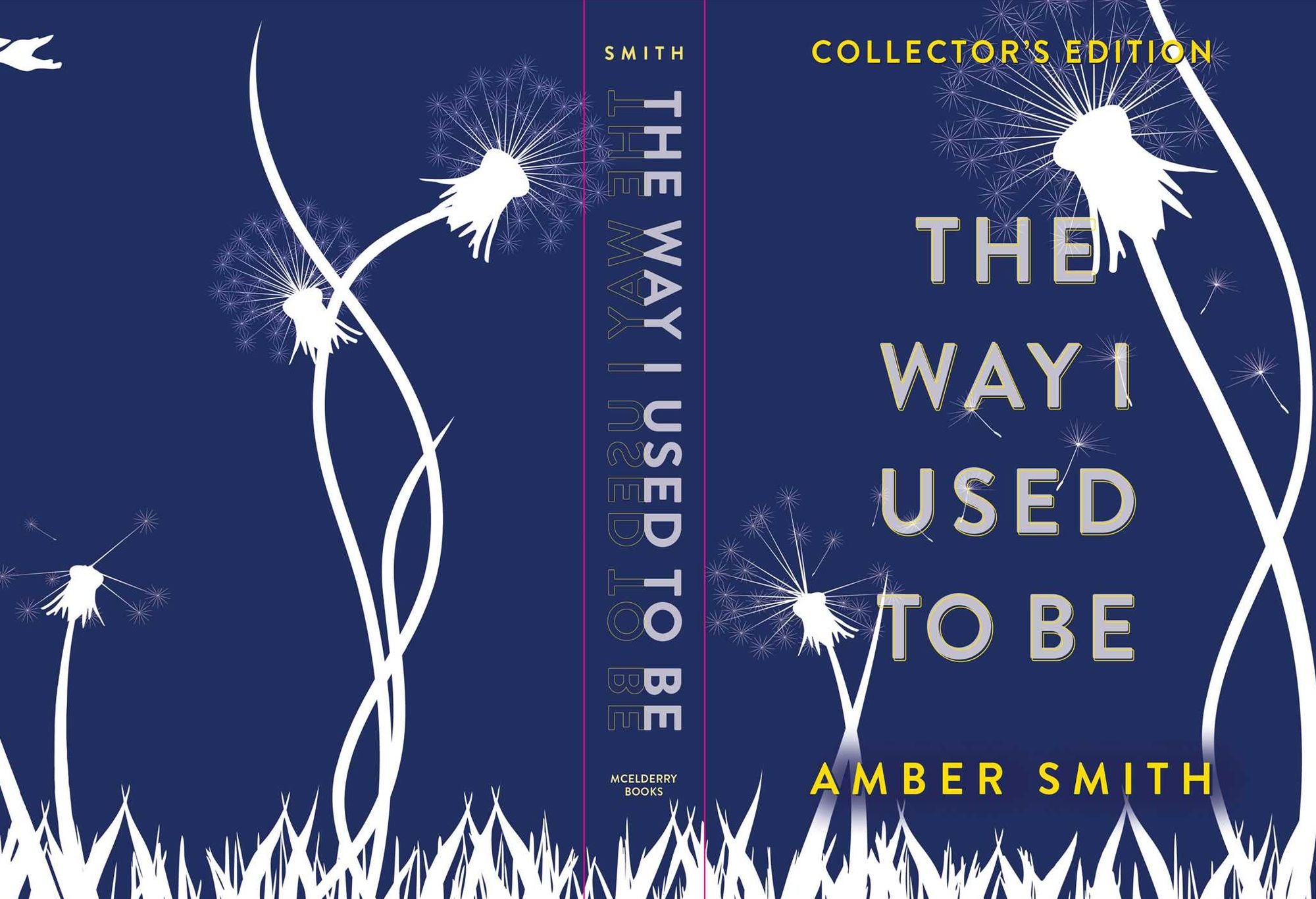 The Way I Used to Be (Collector's Edition)