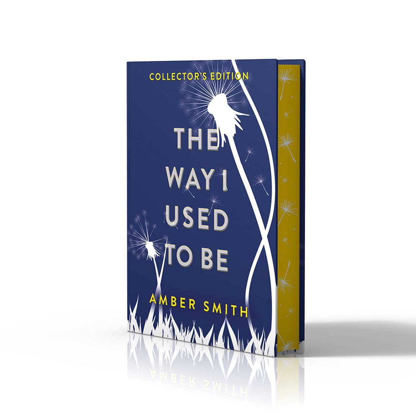 The Way I Used to Be (Collector's Edition)