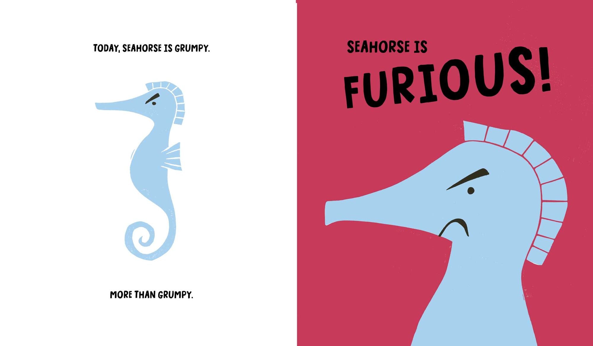 Seahorse Is Furious: And There Is Nothing You Can Do About It