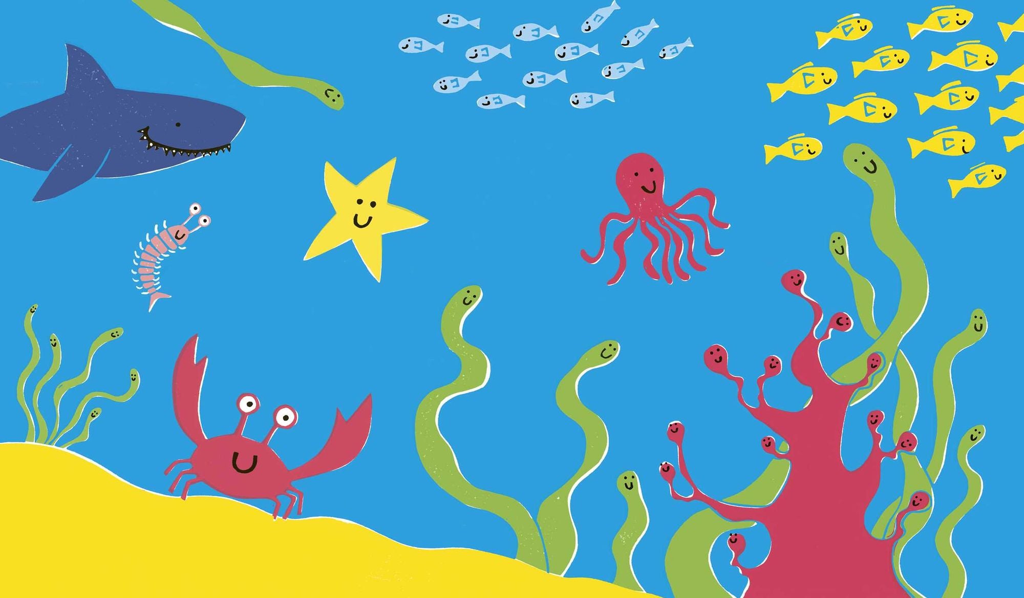 Seahorse Is Furious: And There Is Nothing You Can Do About It