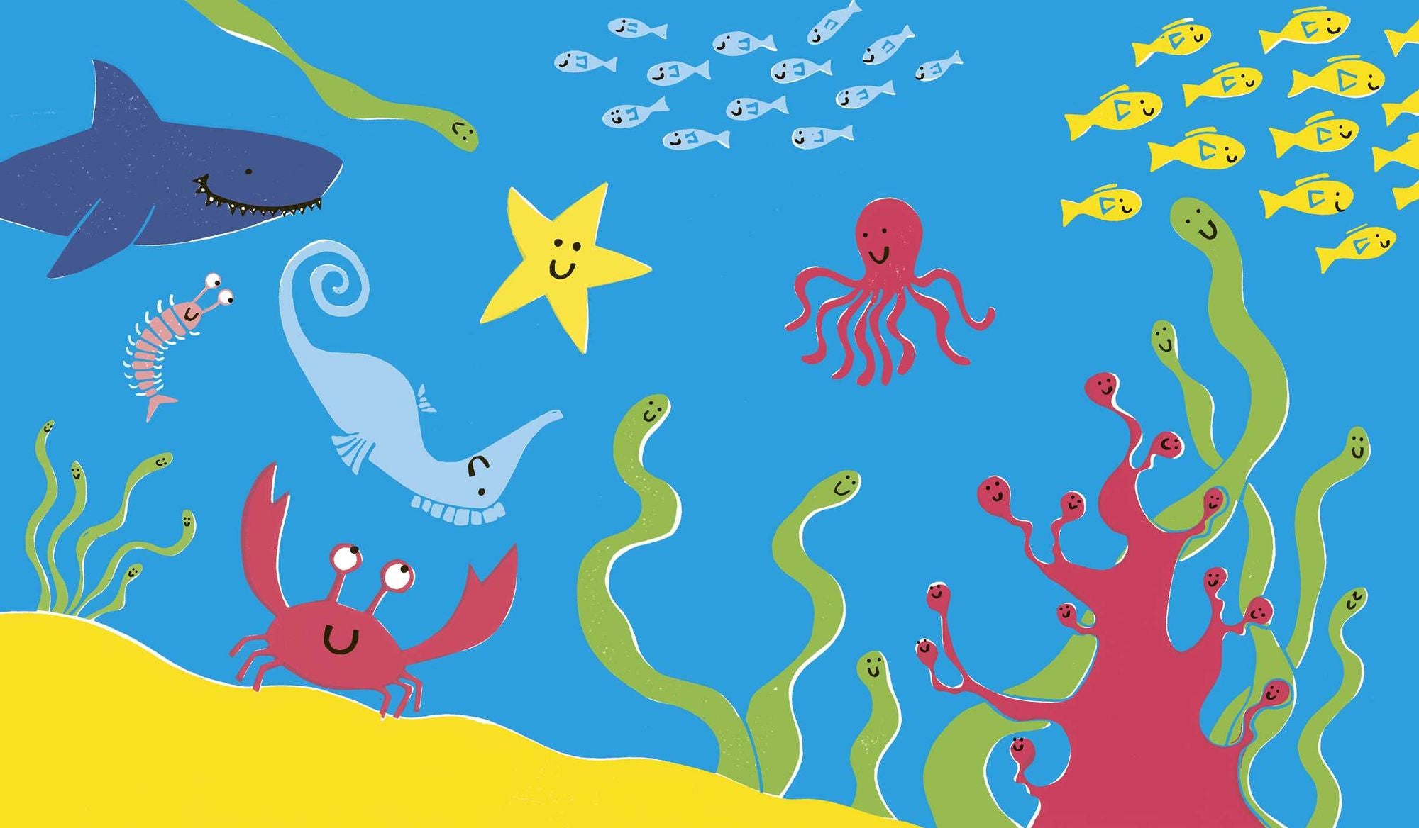 Seahorse Is Furious: And There Is Nothing You Can Do About It