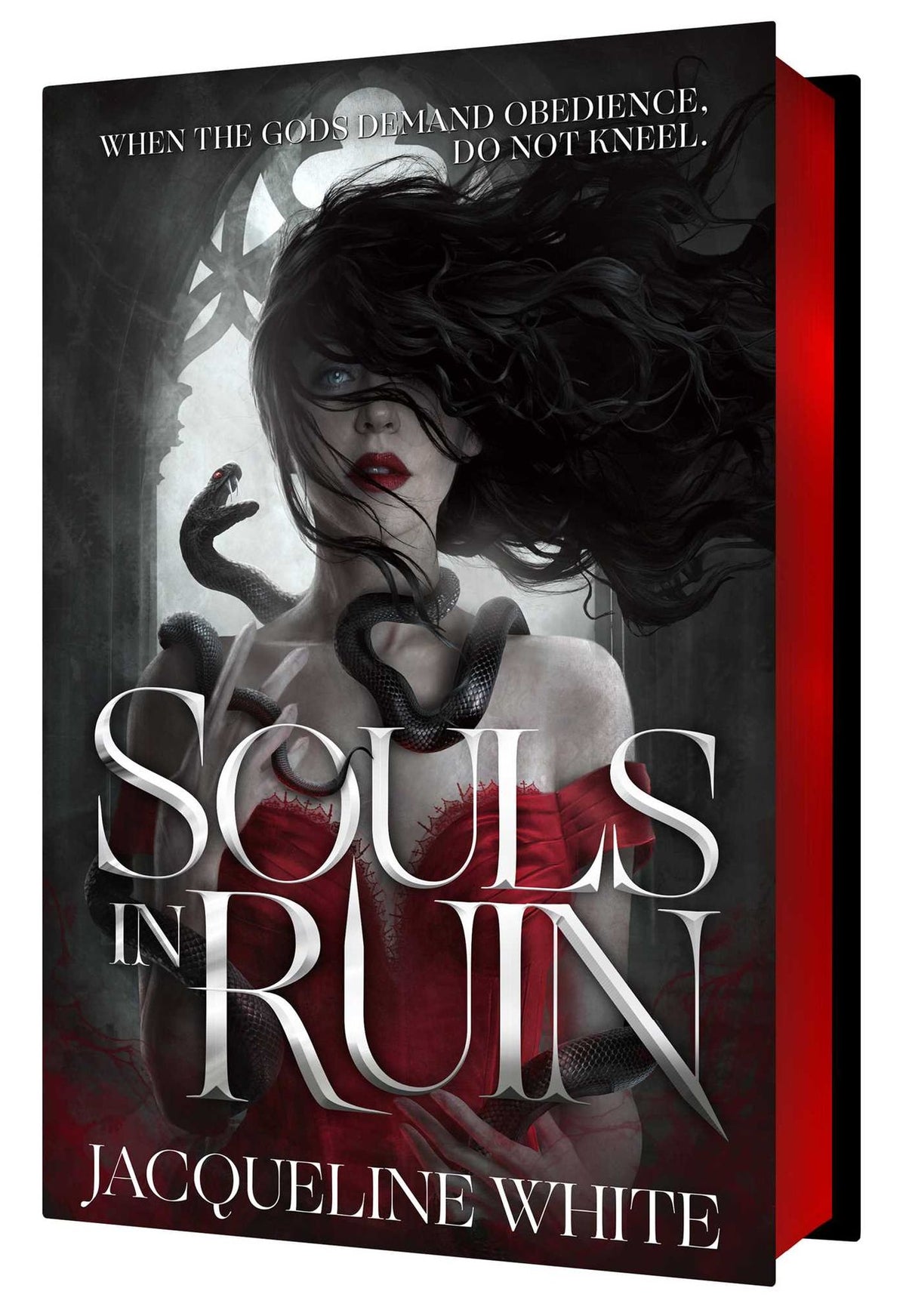 Souls in Ruin