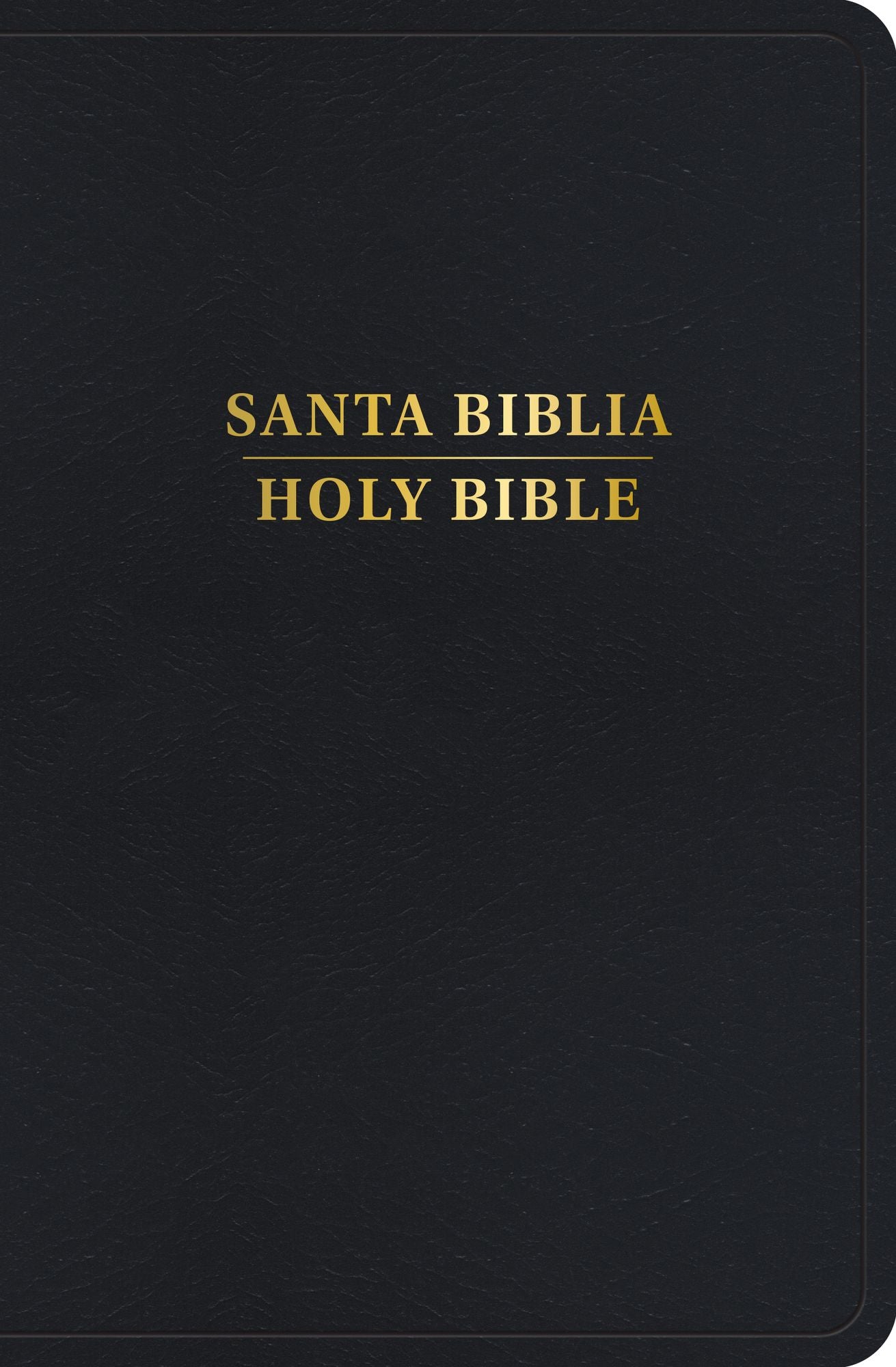 RVR 1960/KJV Biblia bilingüe tamaño personal, negro imitación piel (Edición 2024)