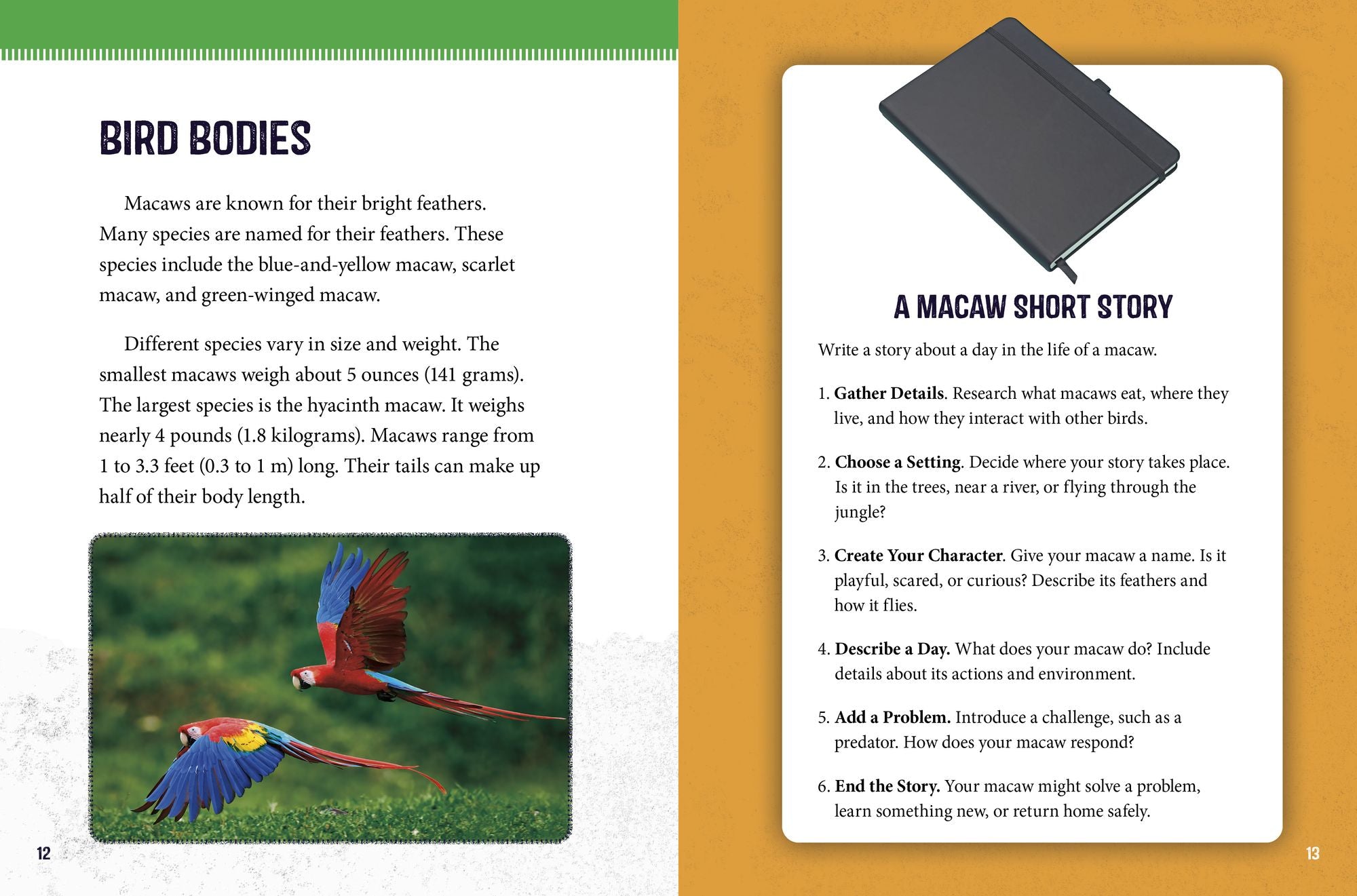 Macaws at Risk: Saving These Colorful Birds