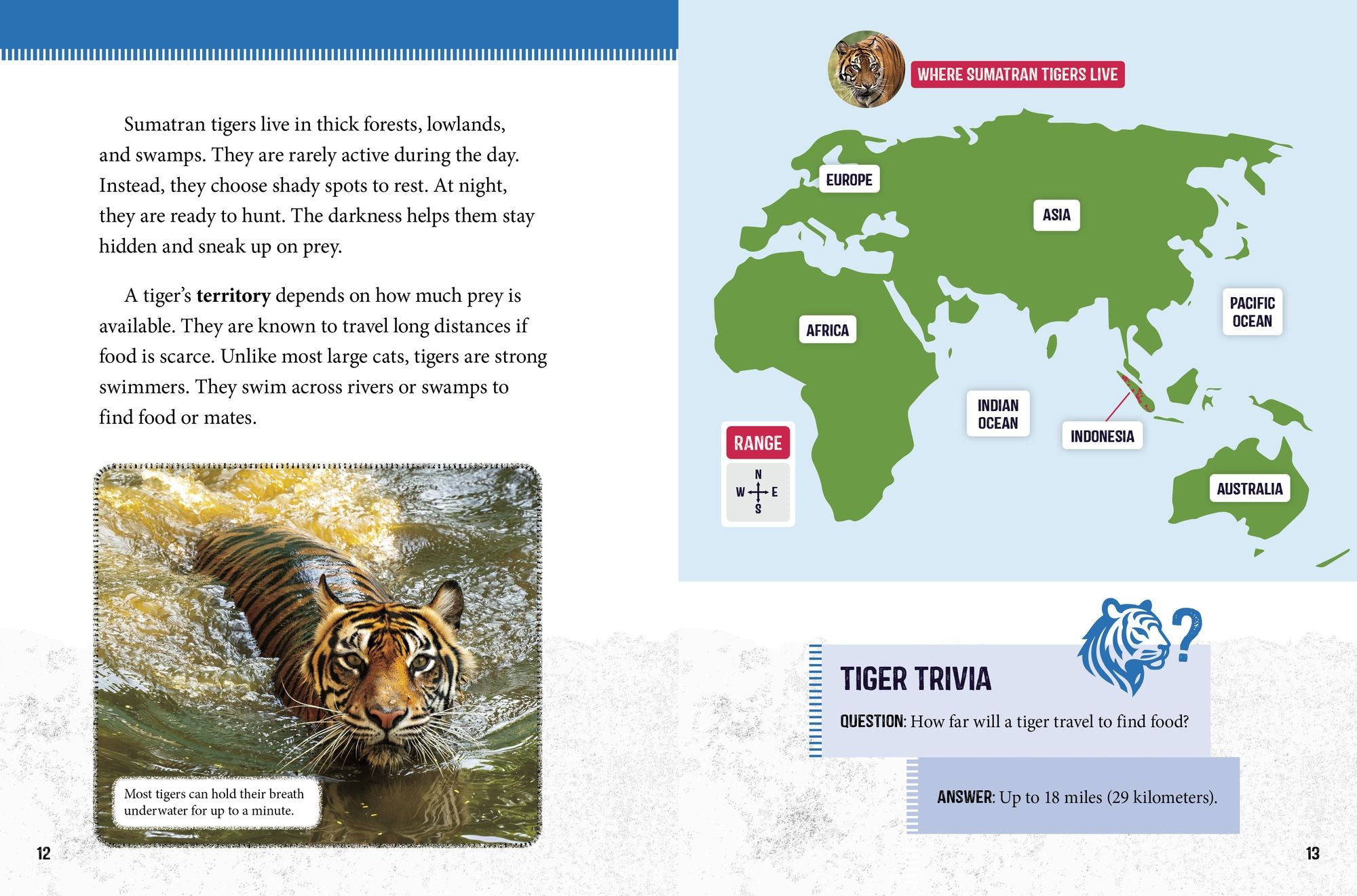 Sumatran Tigers at Risk: Saving These Fierce Big Cats
