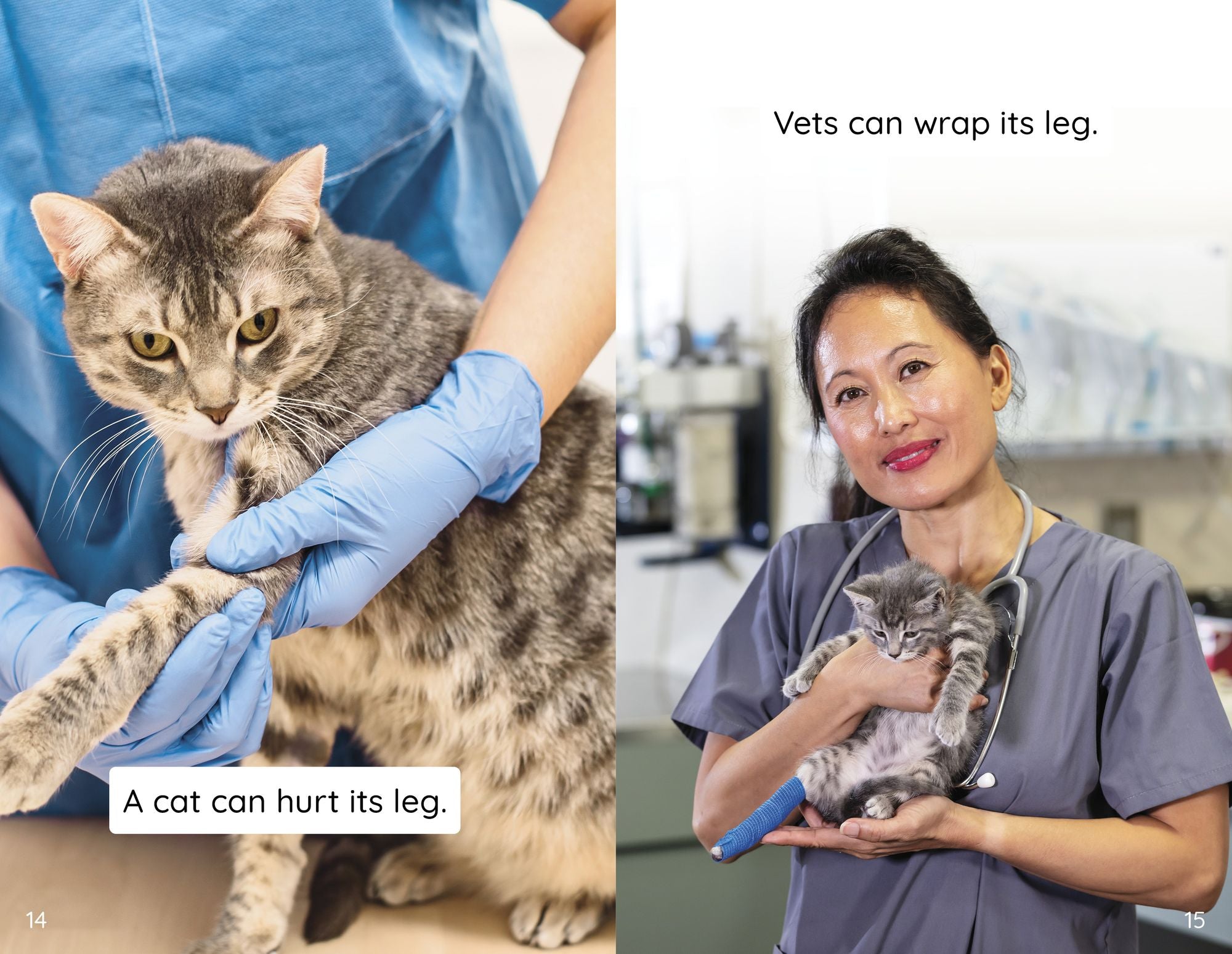 My Pet at the Vet