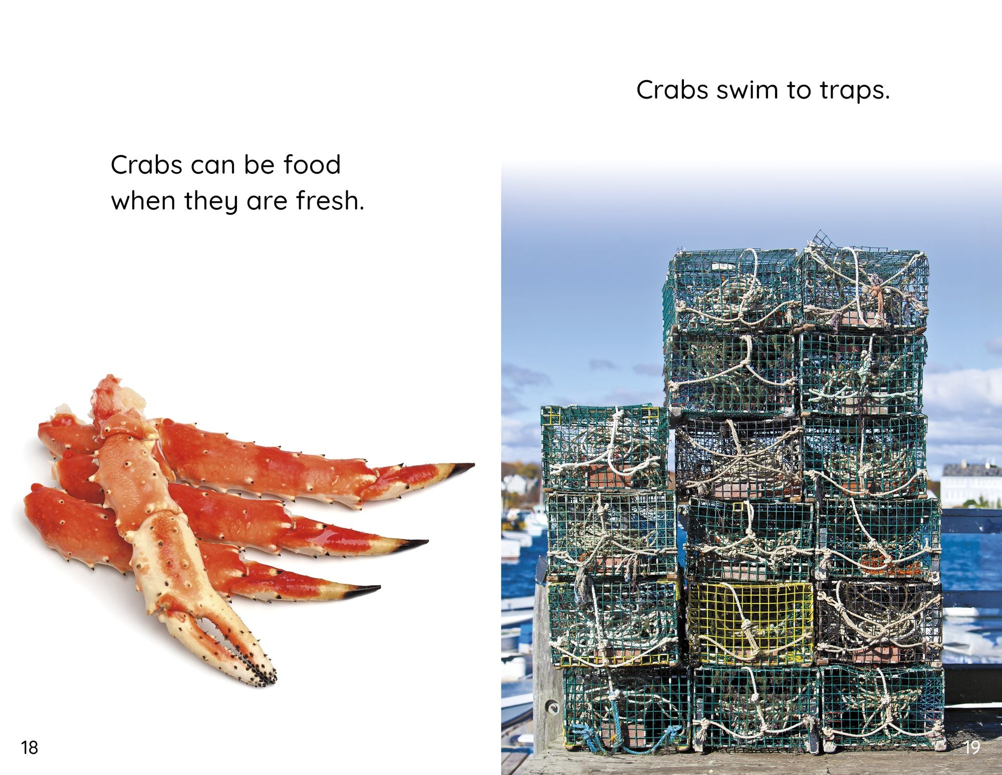 Crabs