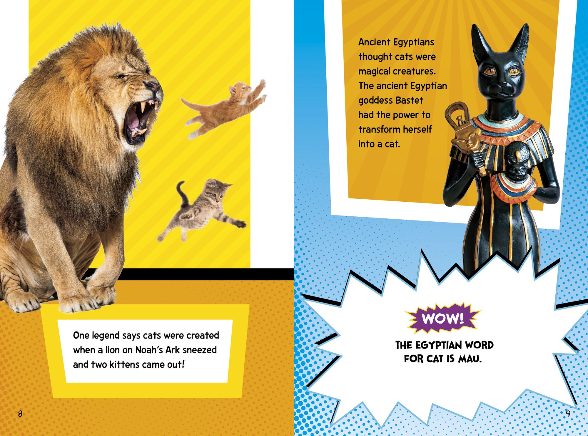 Cat Fact Frenzy!