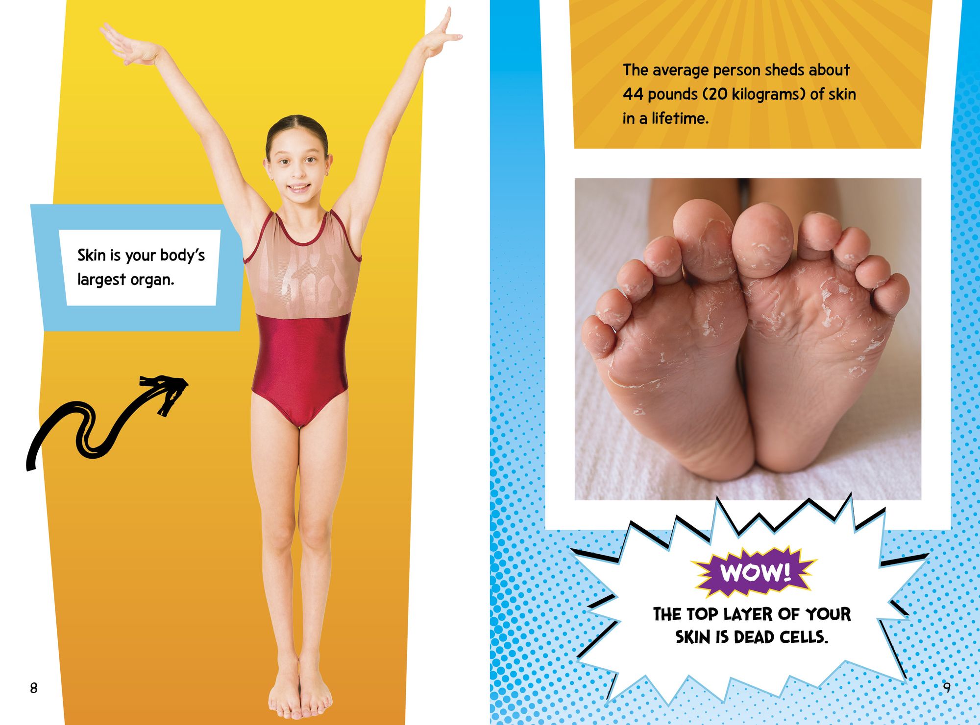 Human Body Fact Frenzy!