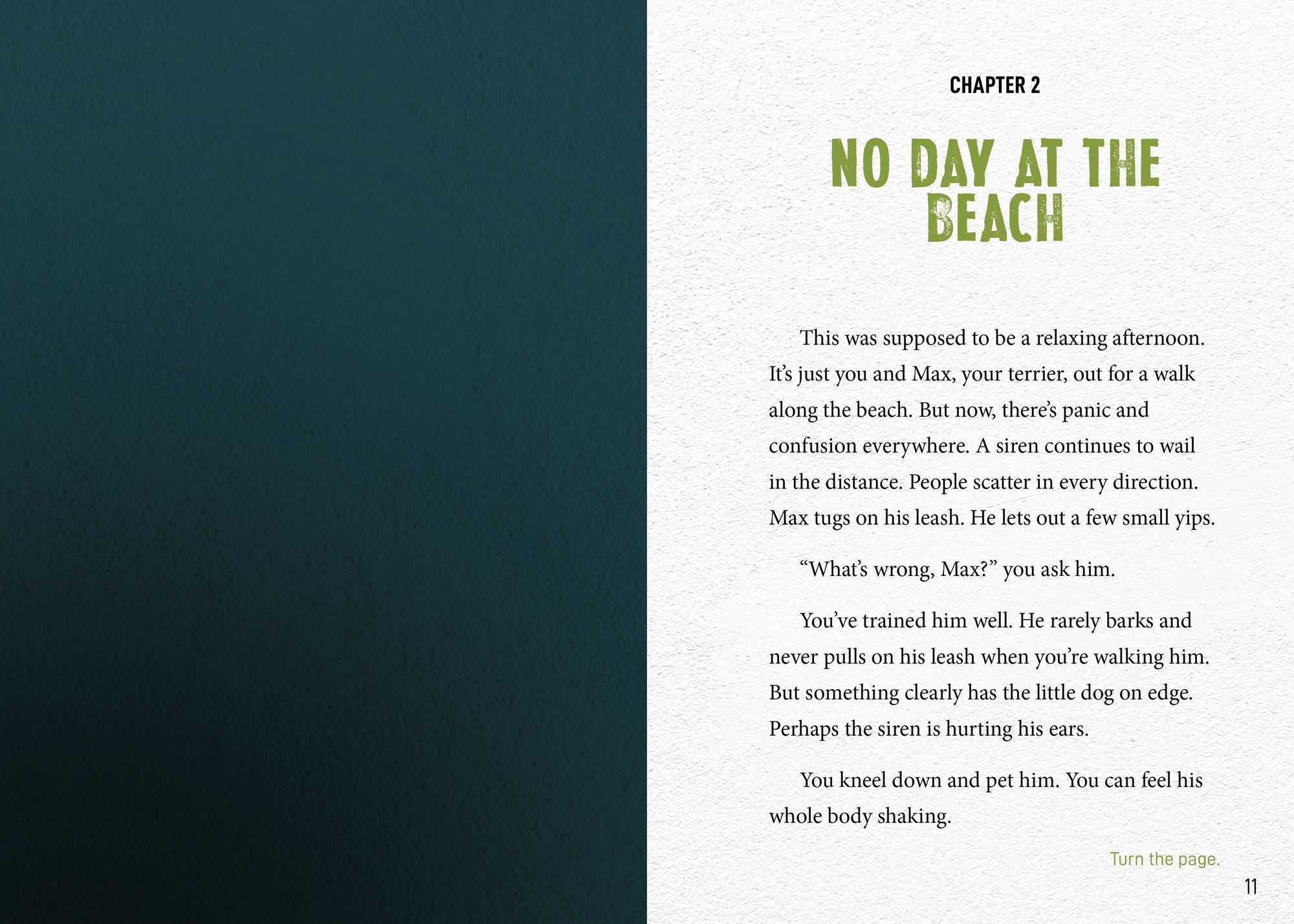 Can You Survive a Surging Tsunami?: An Interactive Survival Adventure
