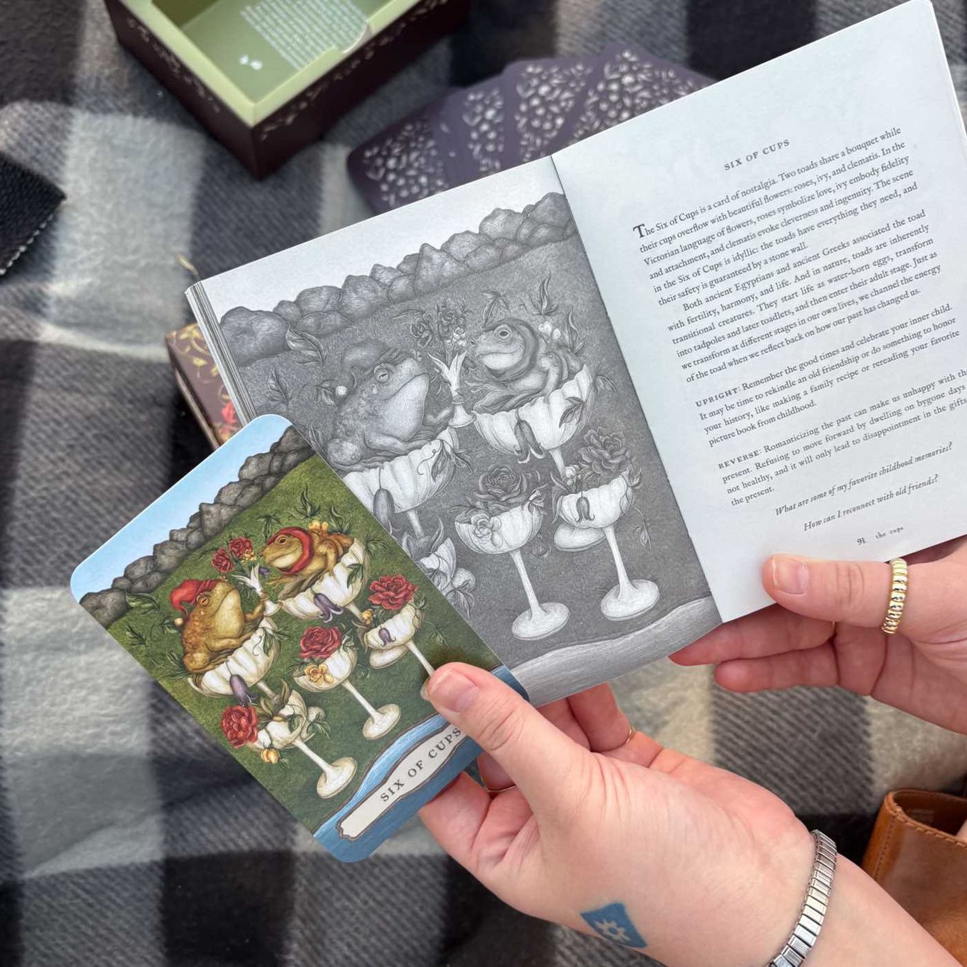 Tarot of the Woodland Wardens: 78-Card Deck & Guidebook