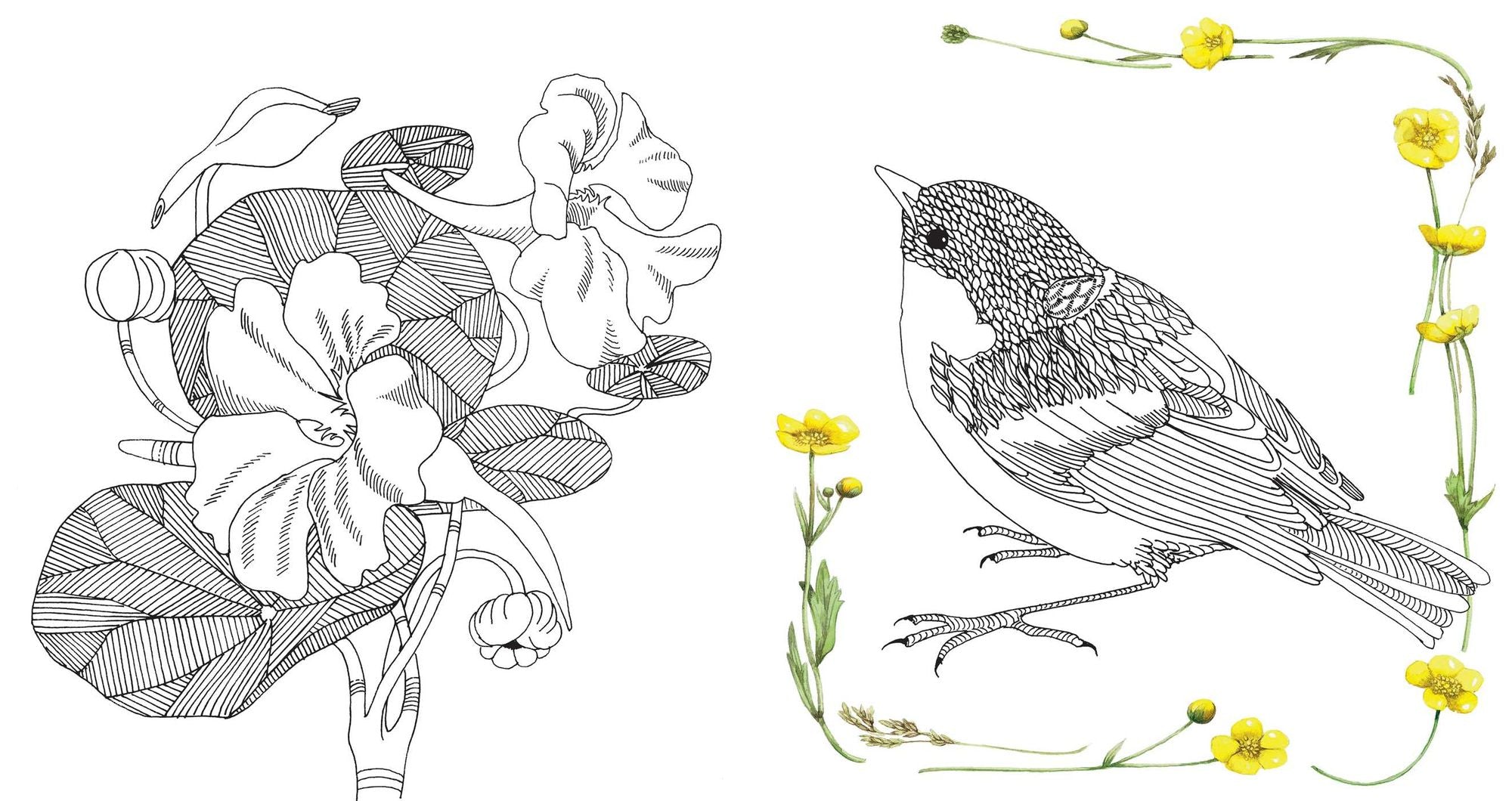 Magical Nature: Coloring Pages for Relaxation and Happiness