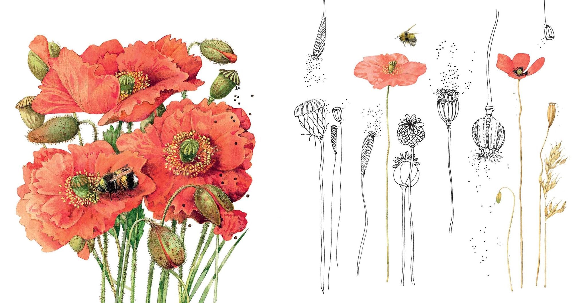 Magical Nature: Coloring Pages for Relaxation and Happiness