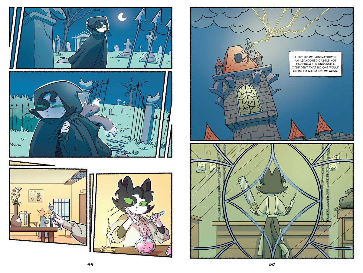 Frankenstein: A Graphic Novel