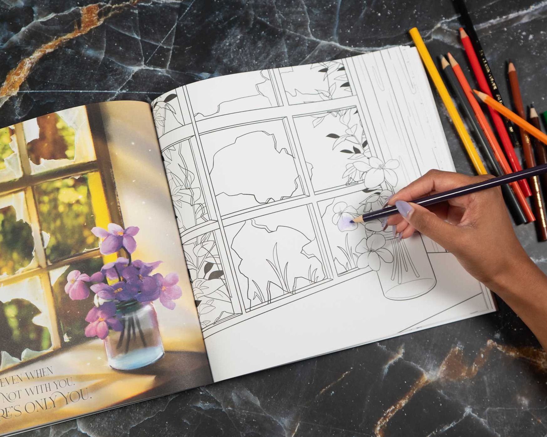Fourth Wing: The Official Coloring Book