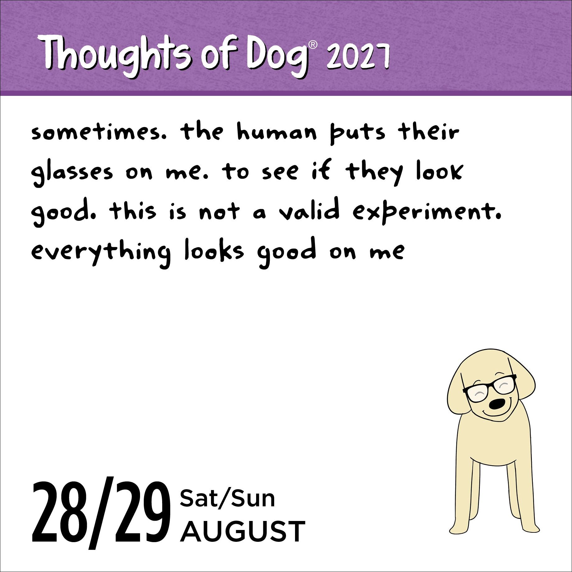 2027 Thoughts of Dog Day-to-Day Calendar