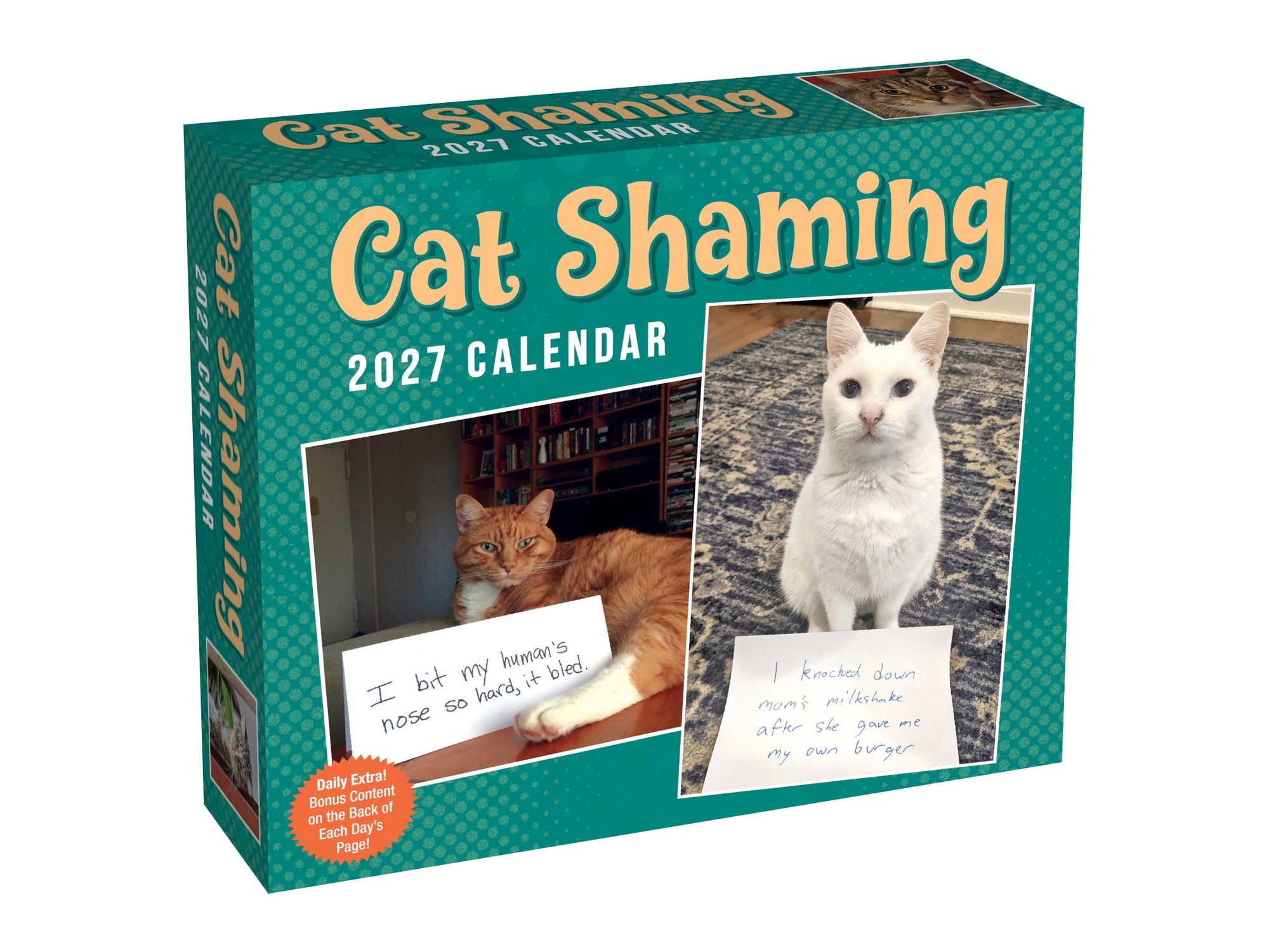 2027 Cat Shaming Day-to-Day Calendar