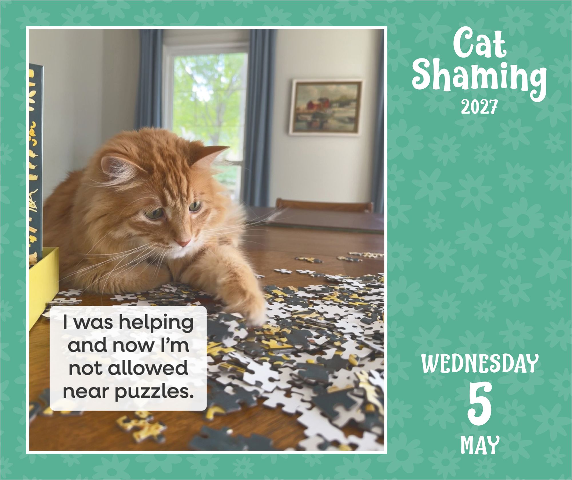 2027 Cat Shaming Day-to-Day Calendar