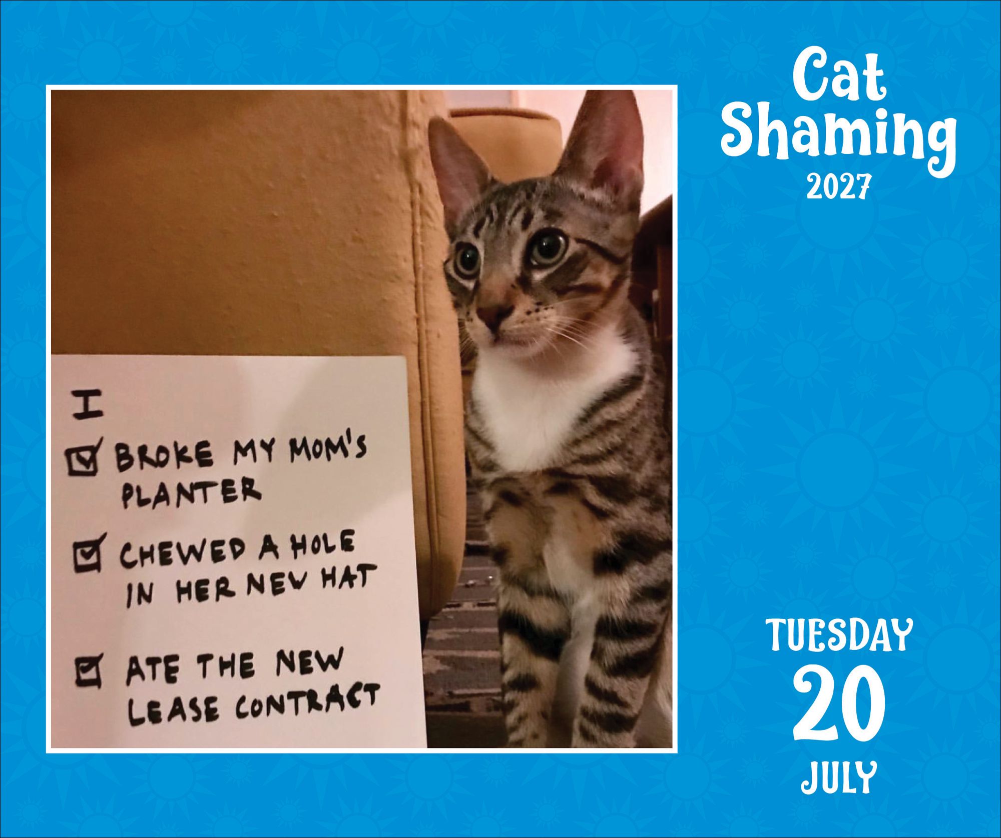 2027 Cat Shaming Day-to-Day Calendar