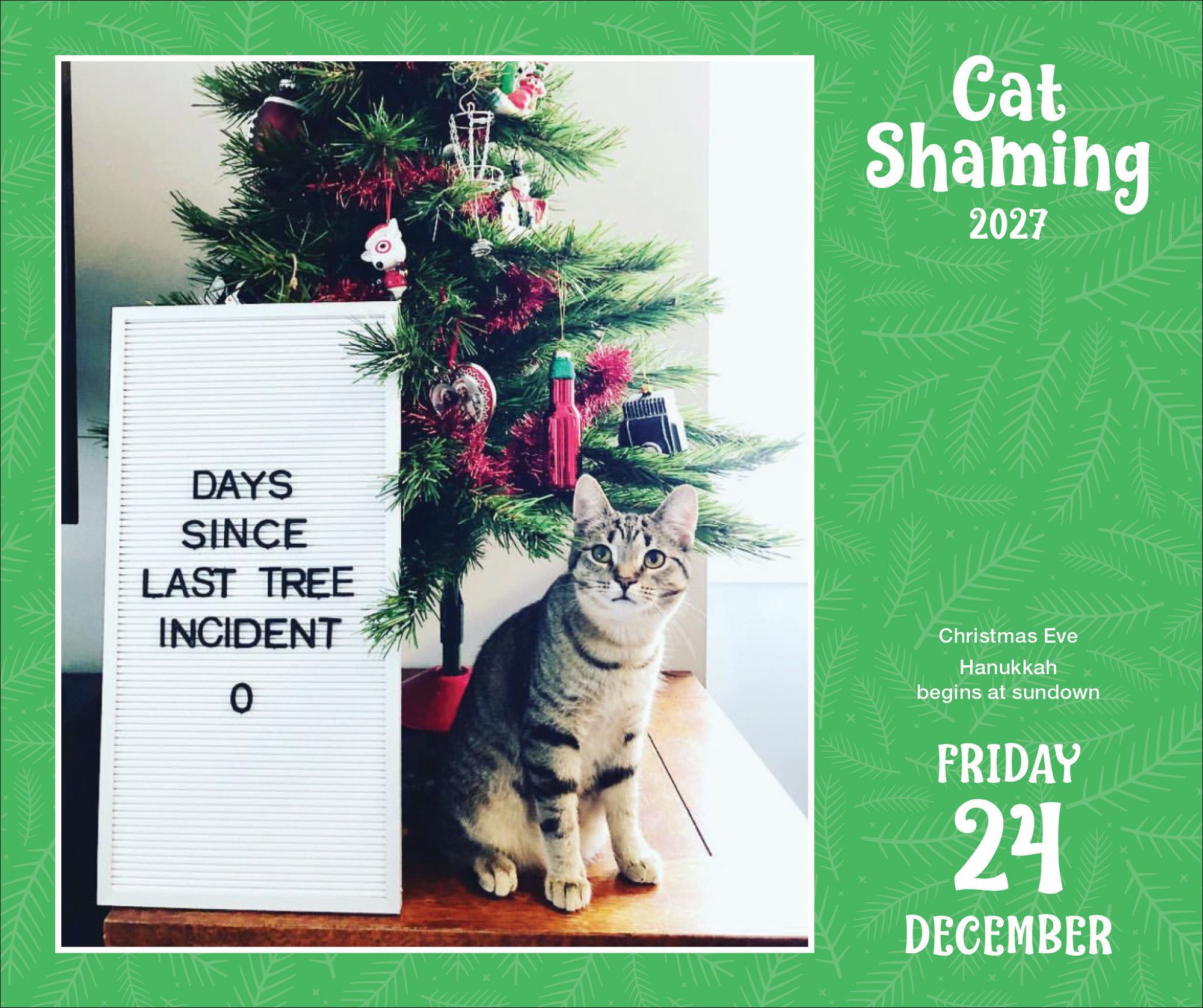 2027 Cat Shaming Day-to-Day Calendar