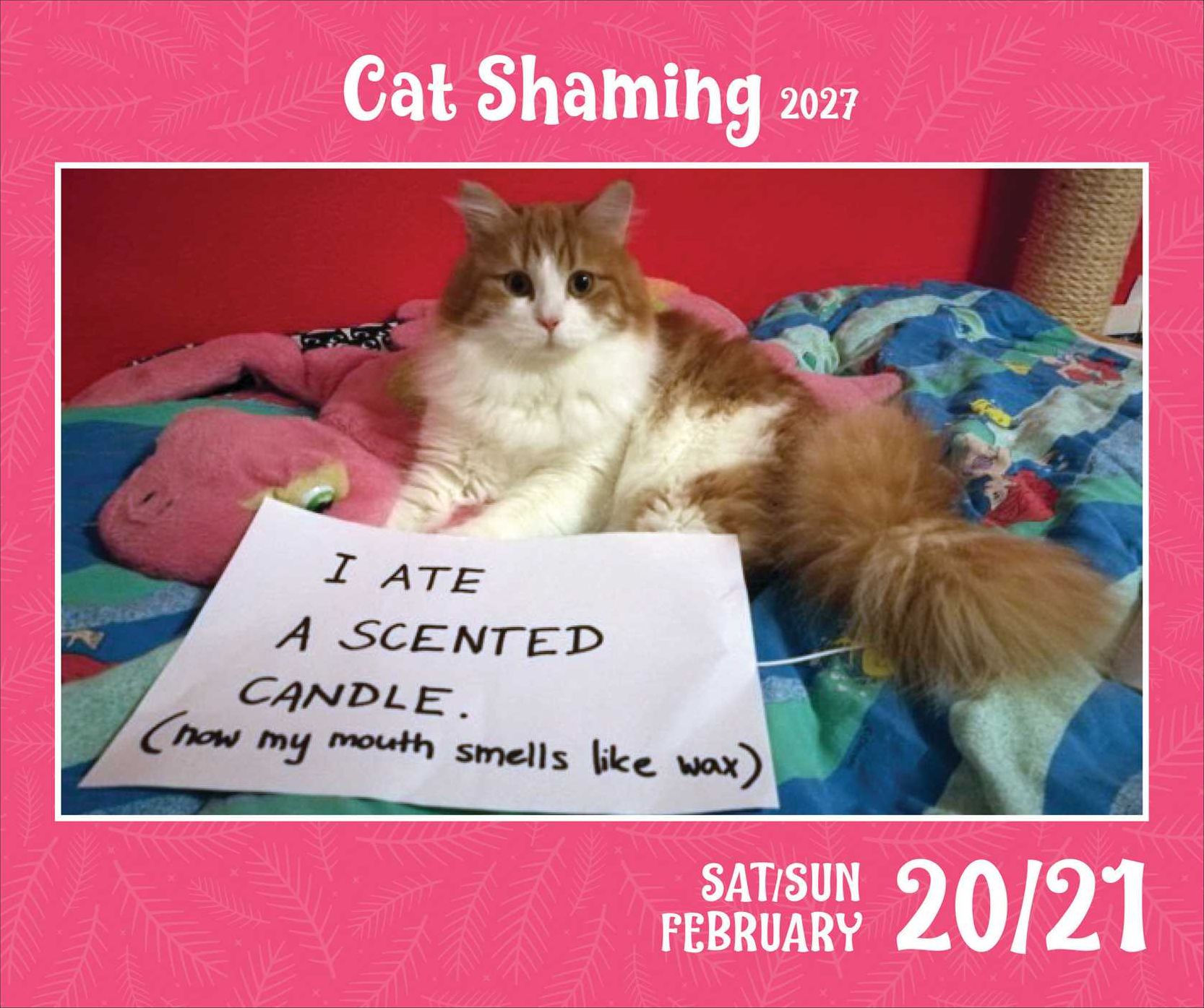 2027 Cat Shaming Day-to-Day Calendar