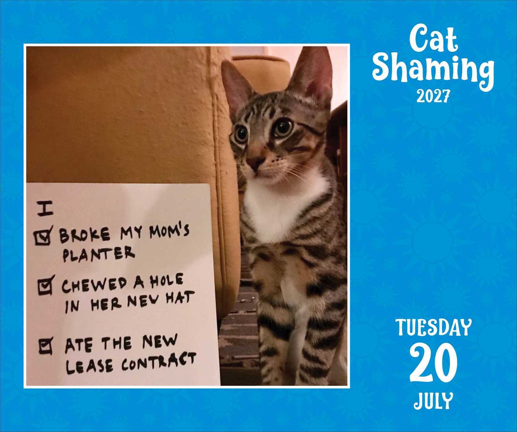2027 Cat Shaming Day-to-Day Calendar