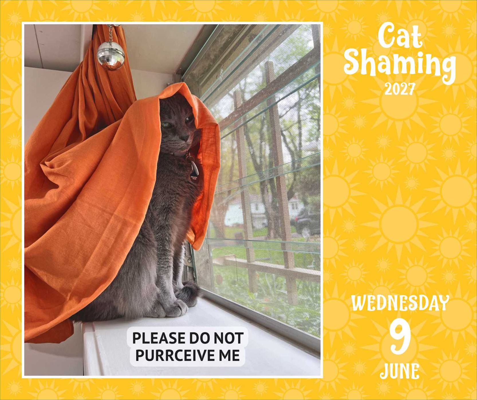 2027 Cat Shaming Day-to-Day Calendar