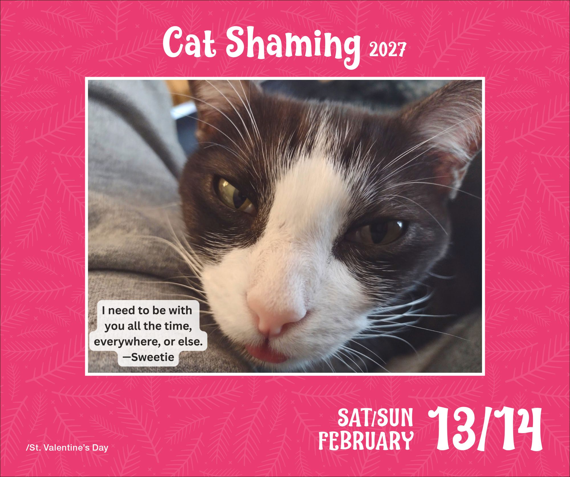 2027 Cat Shaming Day-to-Day Calendar