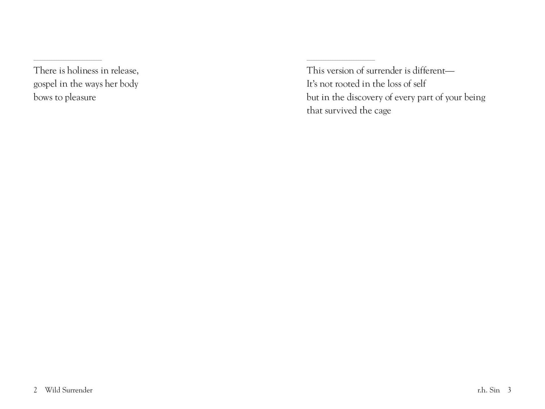 Wild Surrender: The Fire
