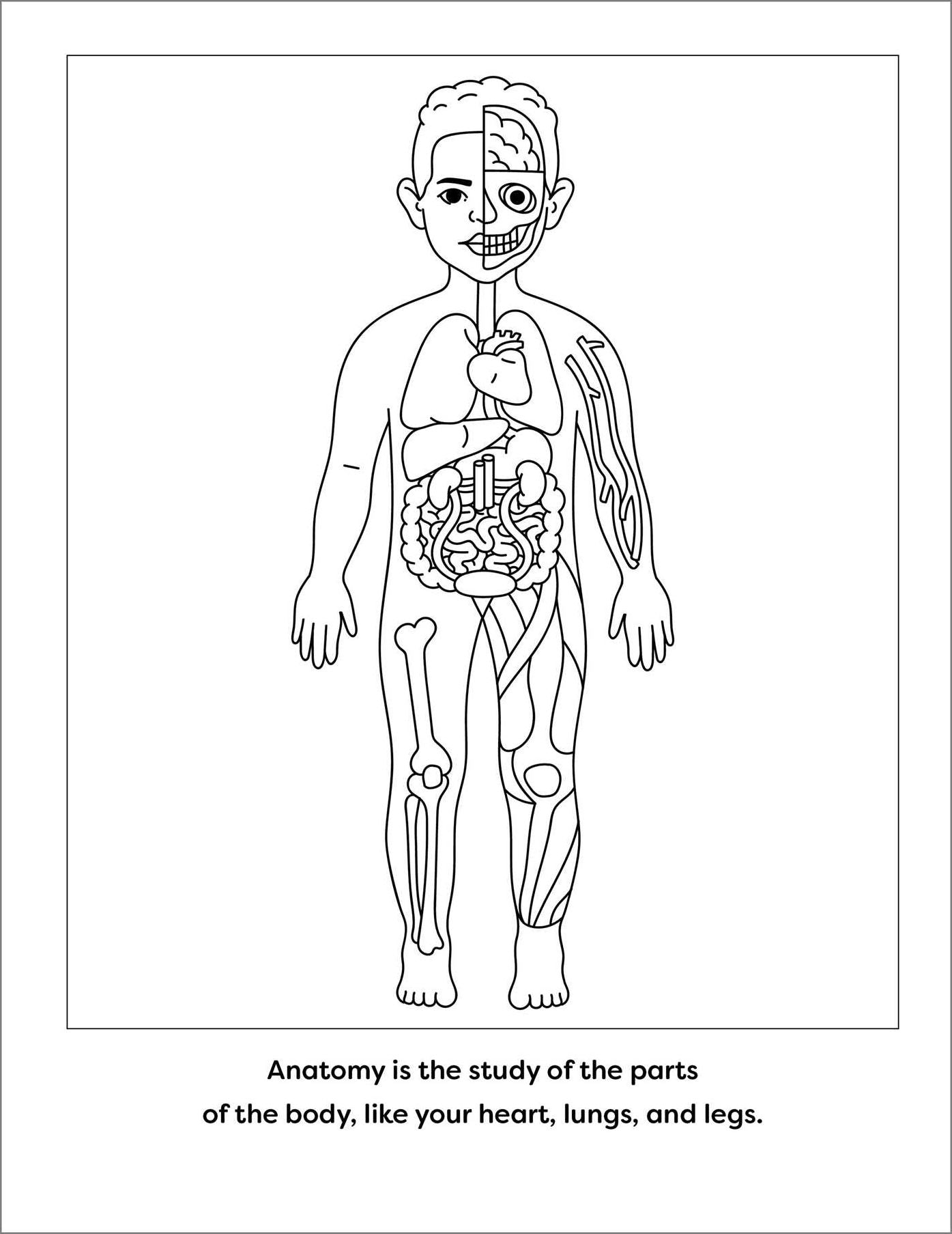 Human Anatomy Coloring Book with Facts: 35+ Coloring Activities with Facts about the Human Body