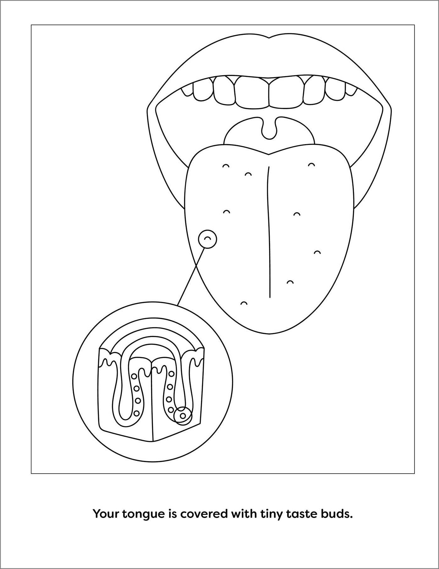 Human Anatomy Coloring Book with Facts: 35+ Coloring Activities with Facts about the Human Body