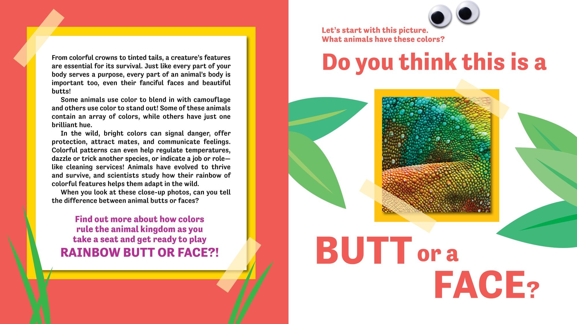 Butt or Face? Volume 5: Rainbow Butts