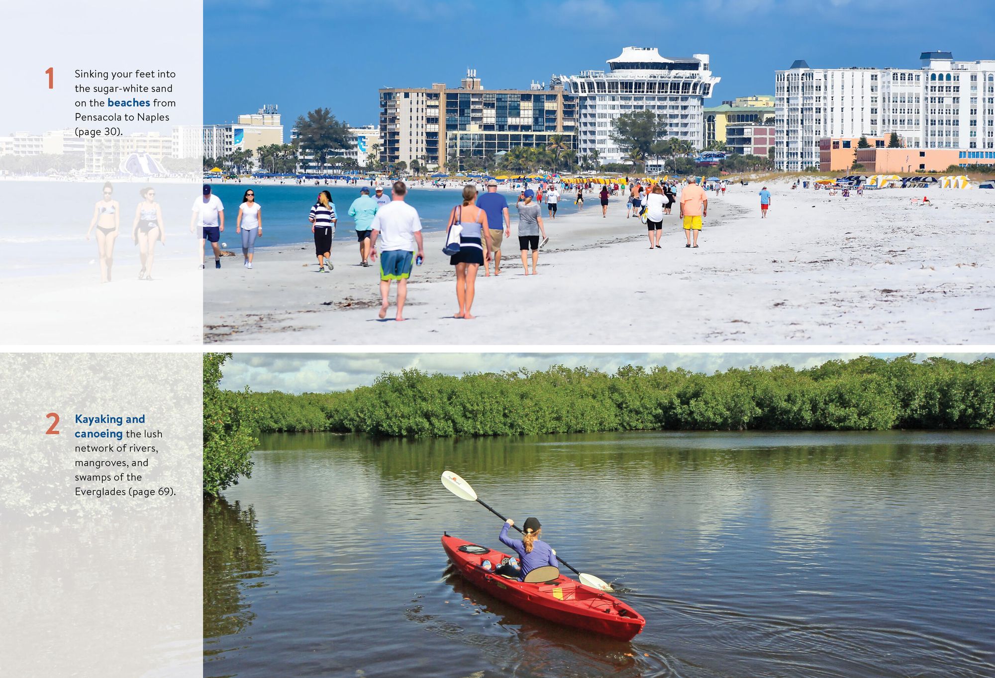 Moon Florida Gulf Coast: Best Beaches, Wildlife, Everglades Adventures