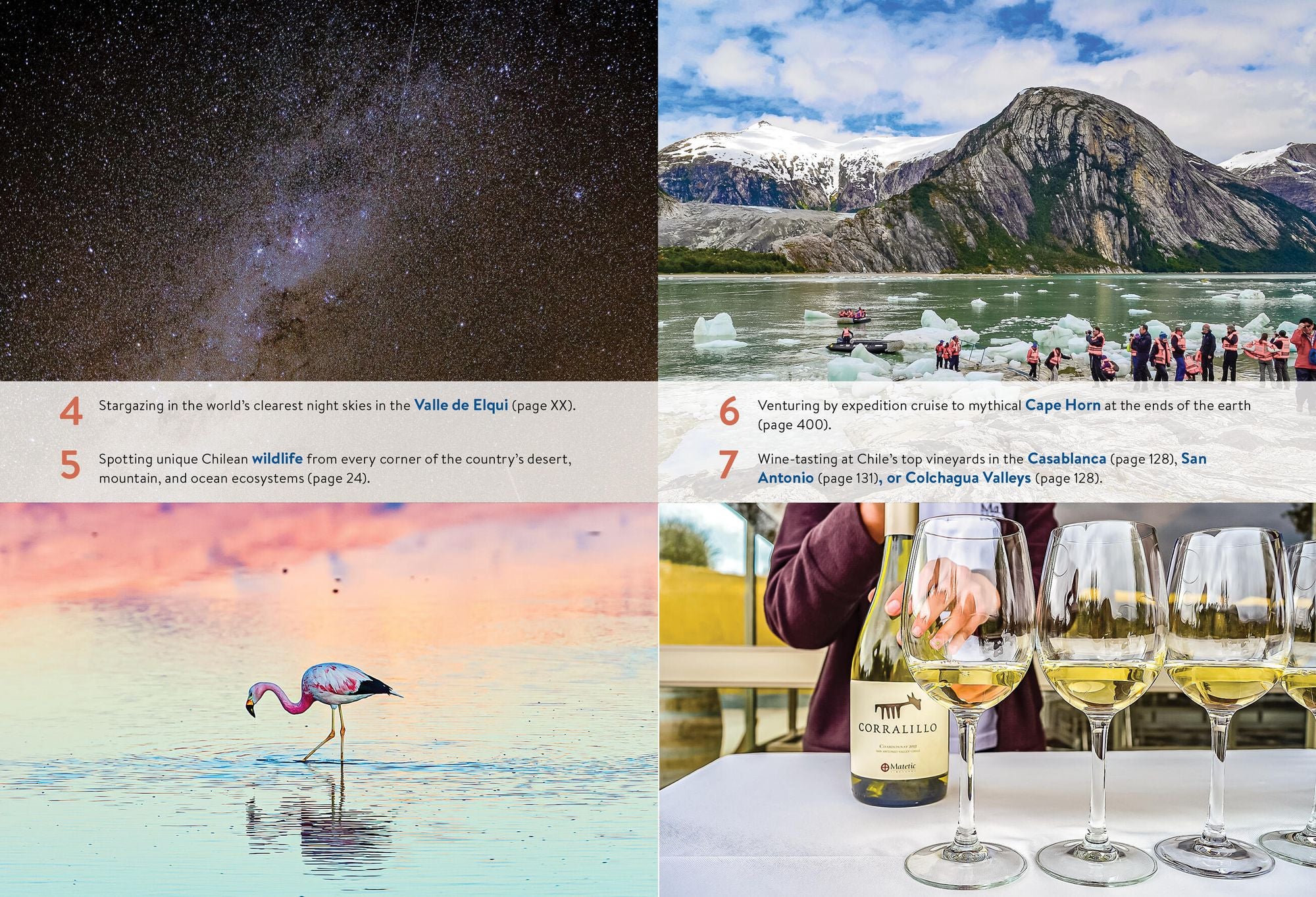 Moon Chile: With Patagonia & Rapa Nui (Easter Island): Volcanoes & Glaciers, Vineyards & Beaches, Wildlife-Watching