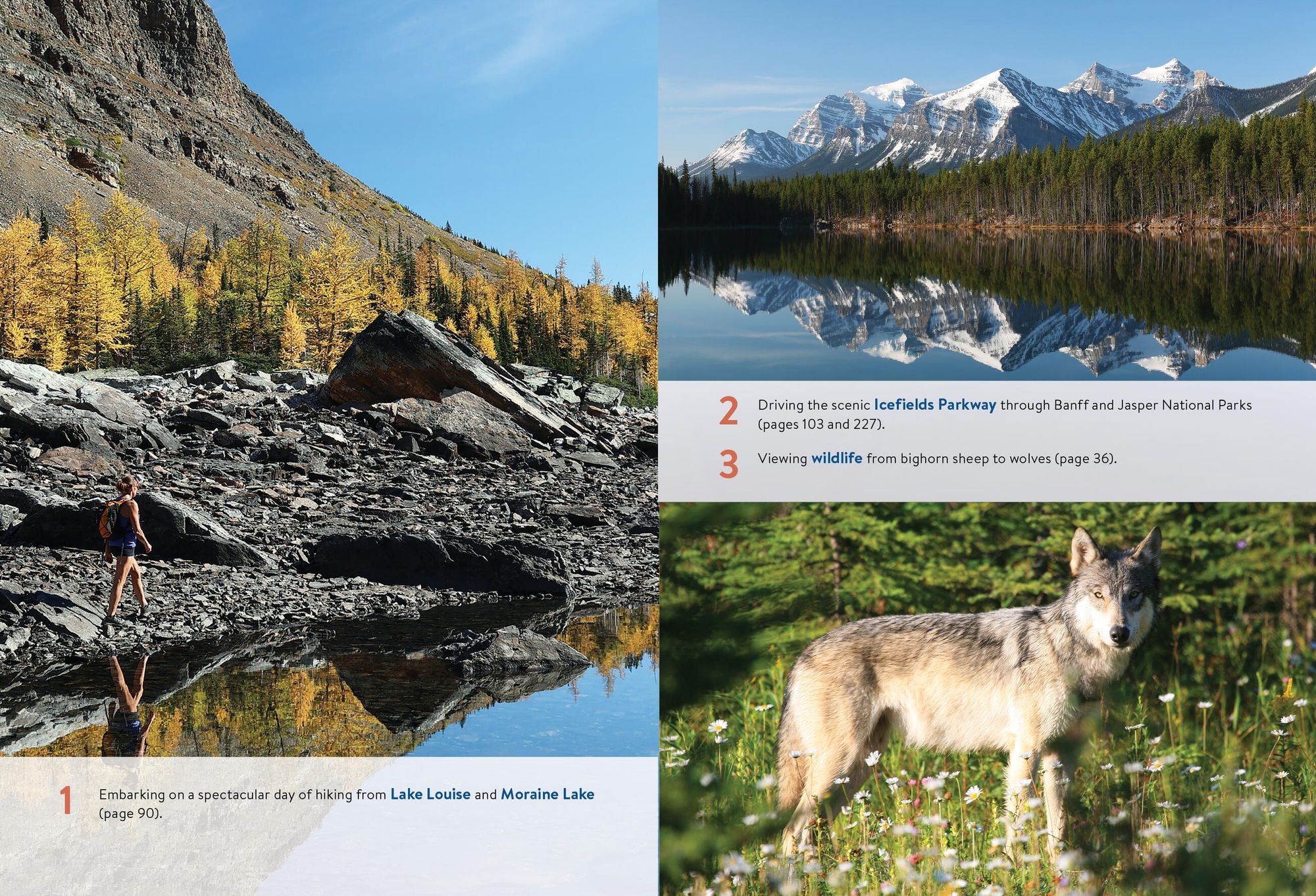 Moon Canadian Rockies: With Banff & Jasper National Parks: Scenic Drives, Wildlife, Hiking & Skiing