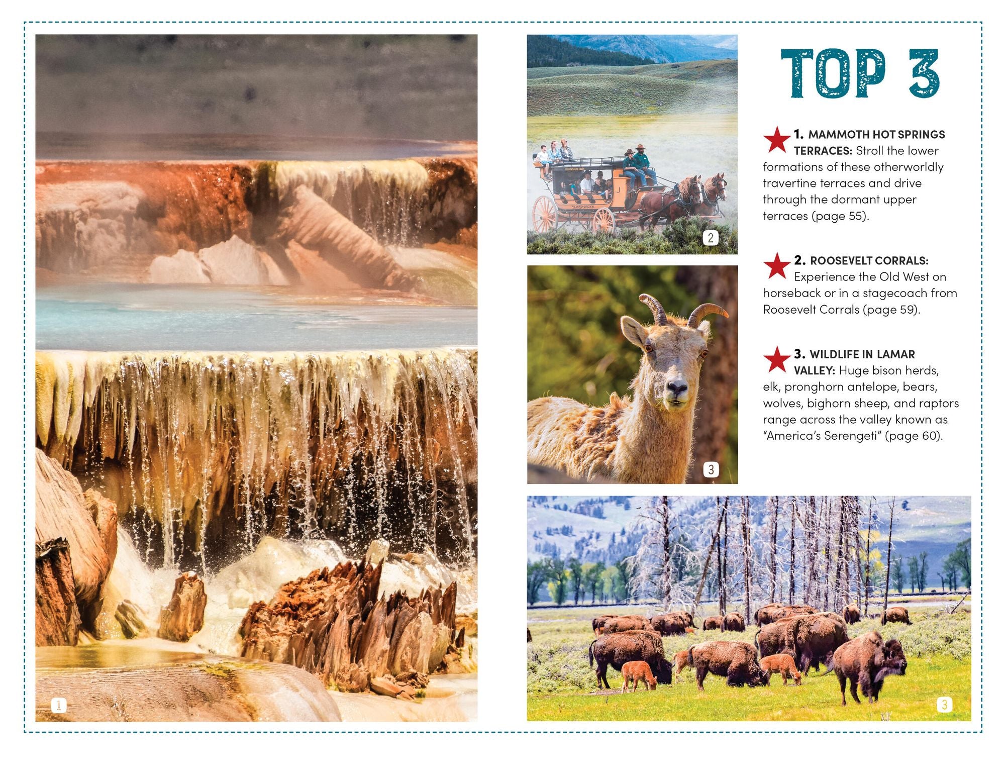 Moon Best of Yellowstone & Grand Teton: Make the Most of One to Three Days in the Parks