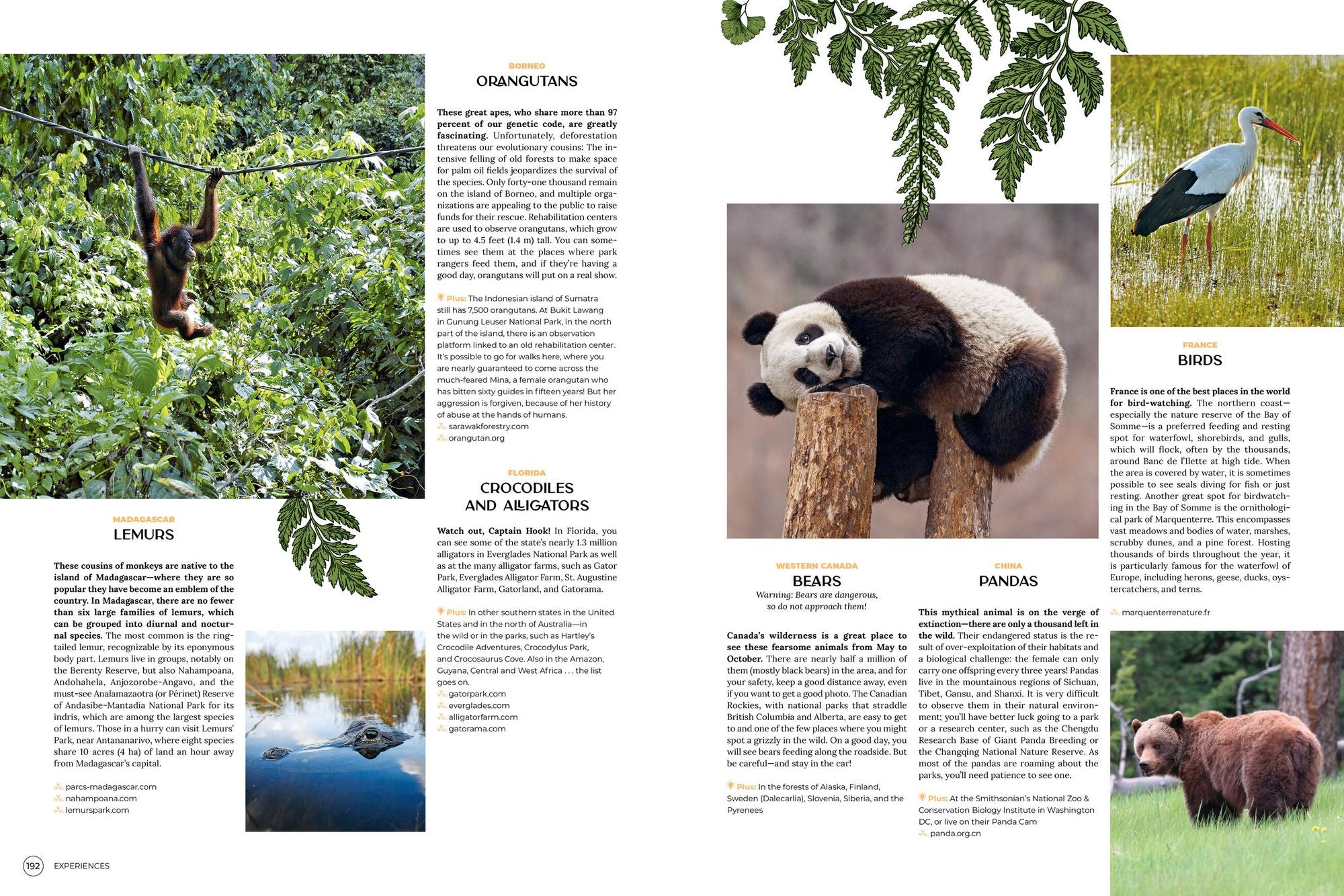 Wanderlust: A Traveler's Guide to the Globe
