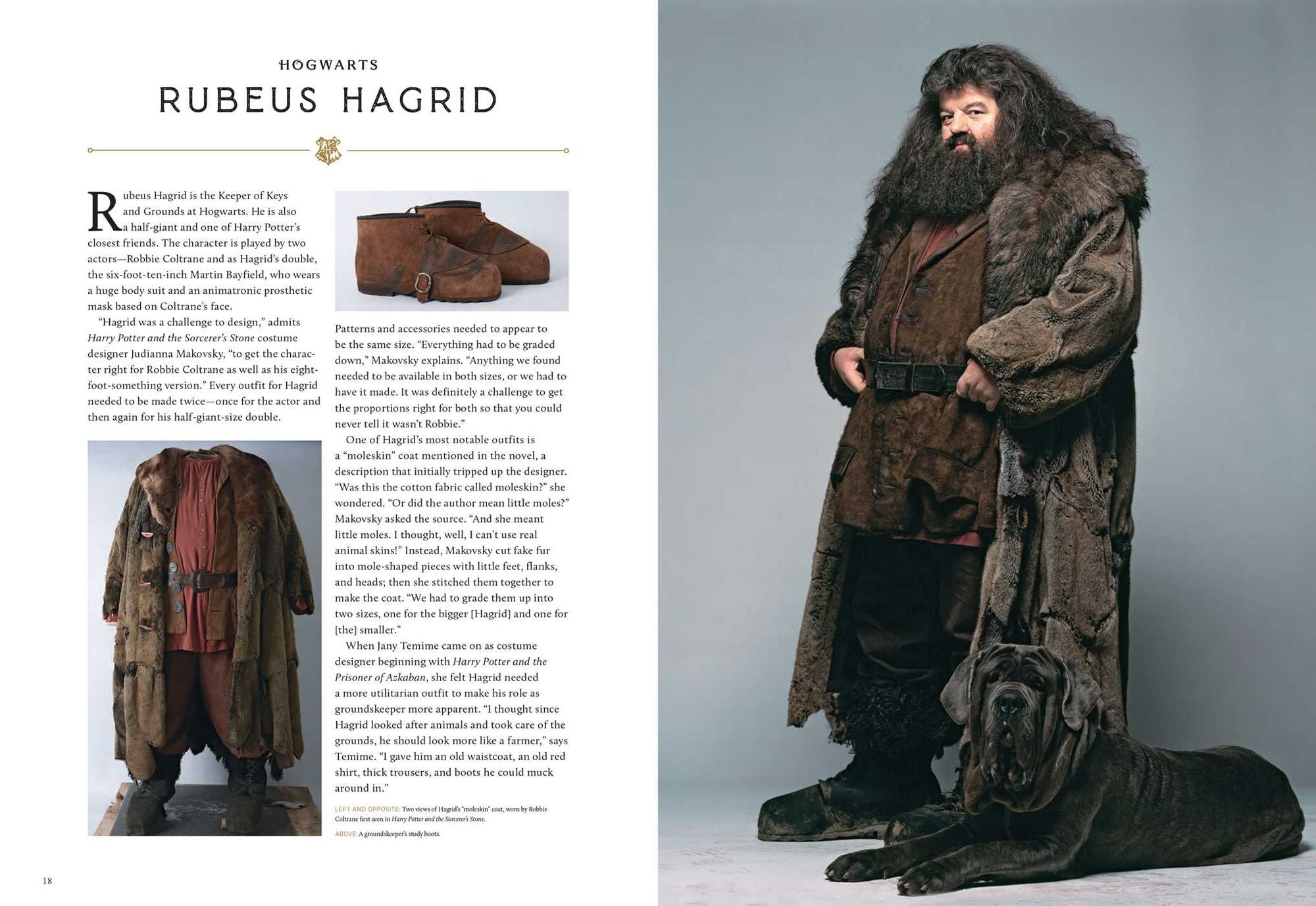 Harry Potter: Costumes of the Wizarding World
