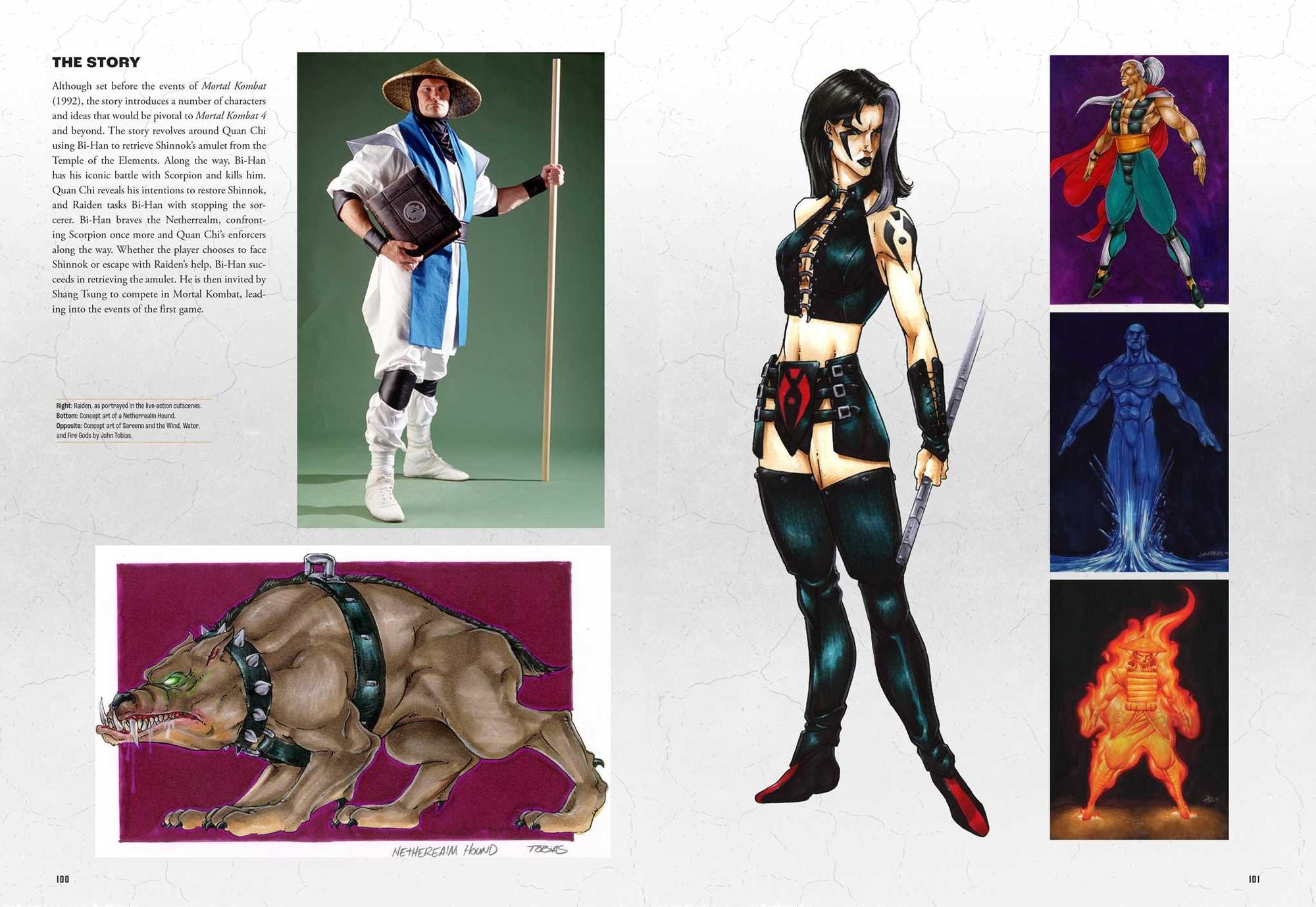 Mortal Kombat: Flawless Victory: A Visual History of the Iconic Series