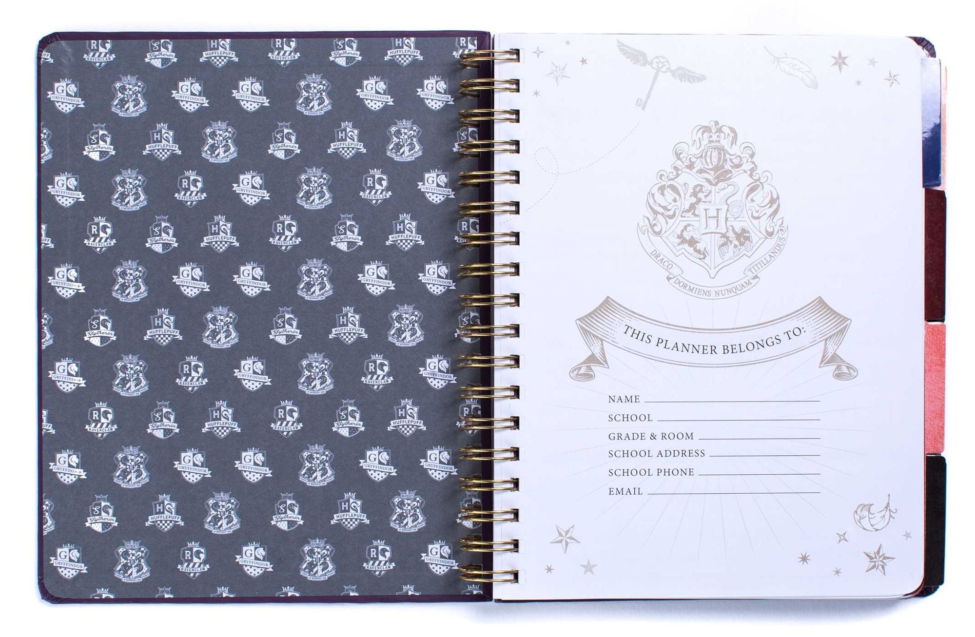 Harry Potter: Hogwarts Teacher's 12-Month Undated Planner: (Harry Potter School Planner School, Harry Potter Gift, Harry Potter Stationery, Undated Planner, Teacher Planner)