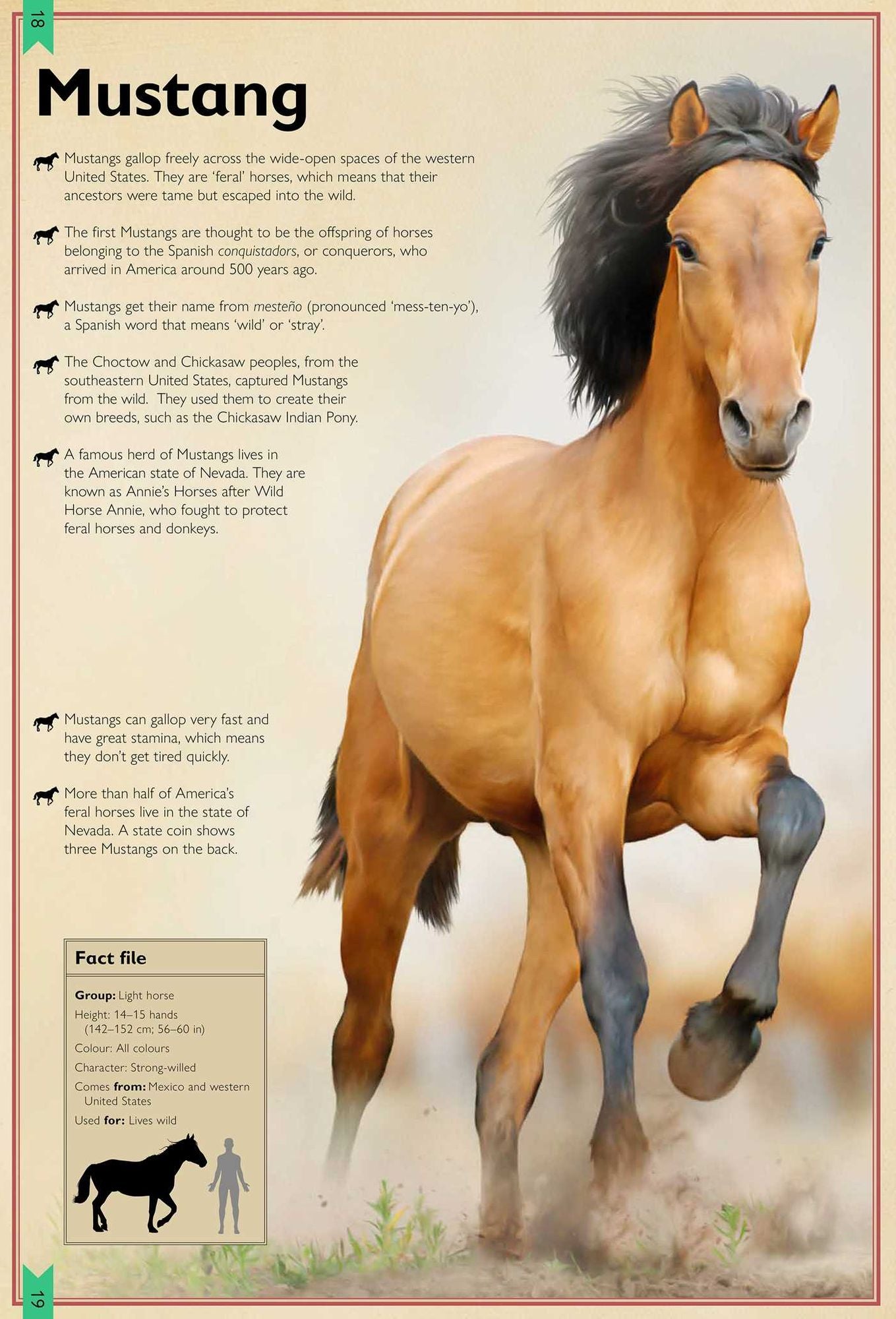 The Magnificent Book of Horses