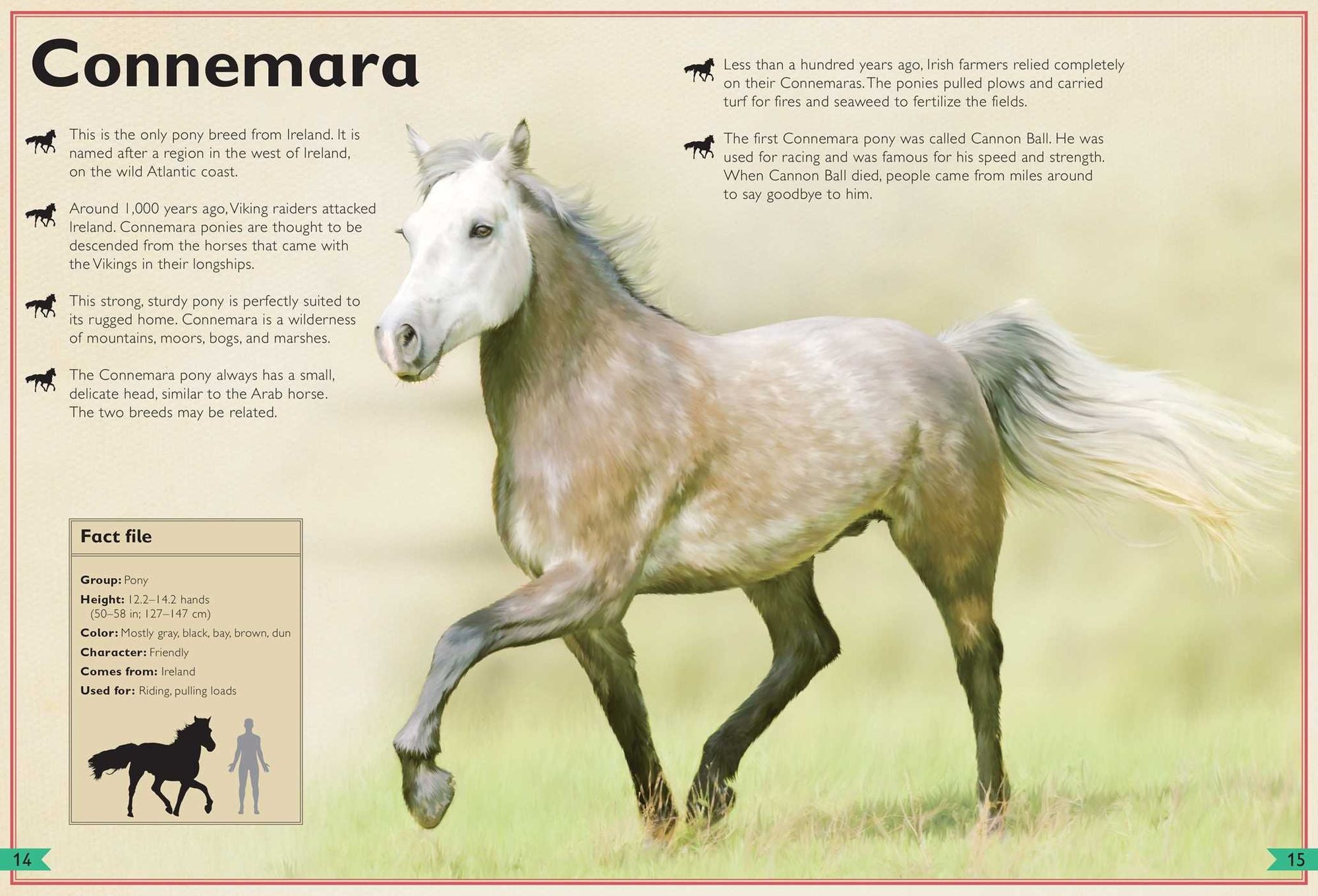 The Magnificent Book of Horses