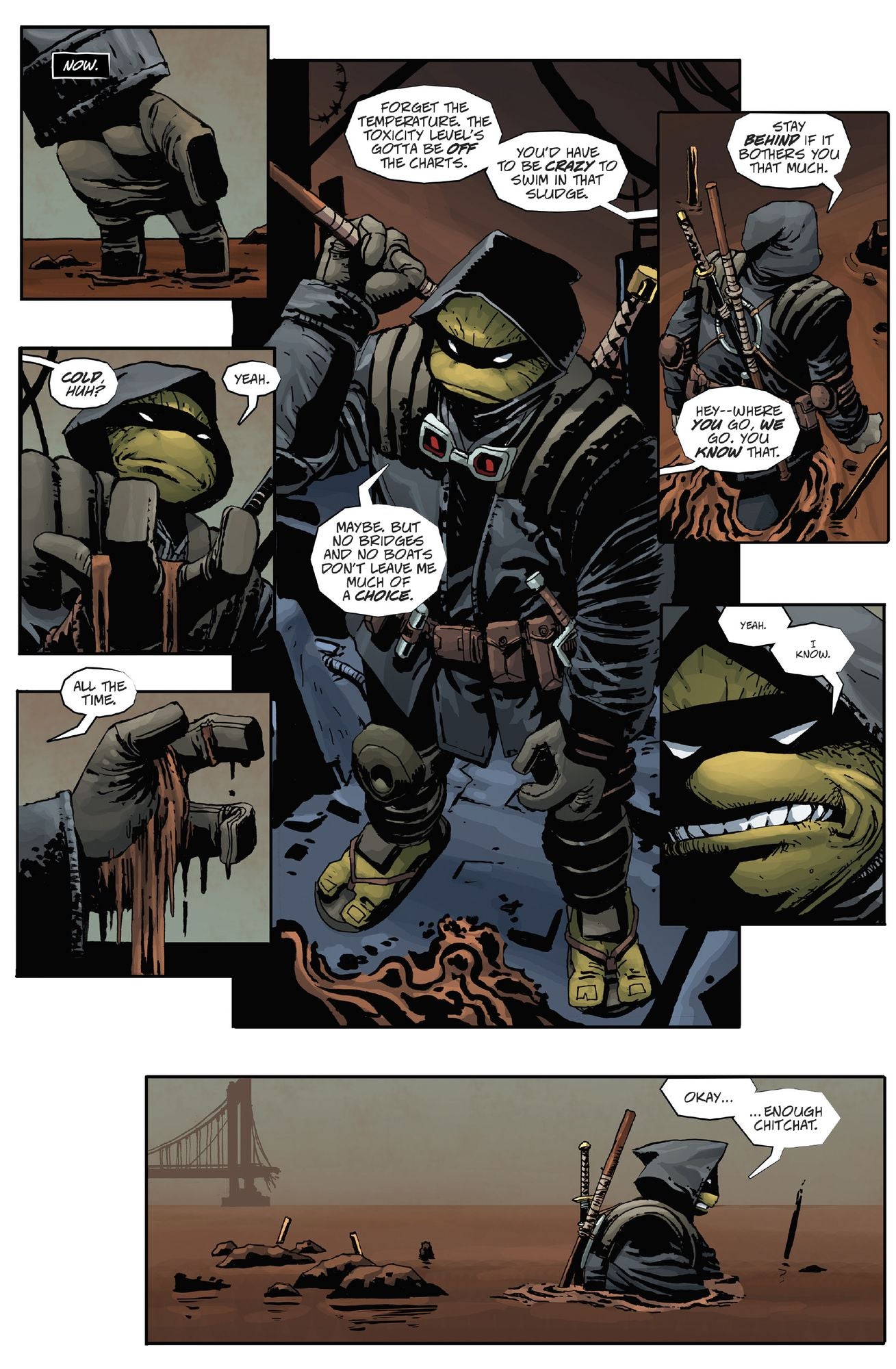 Teenage Mutant Ninja Turtles: The Last Ronin Box Set