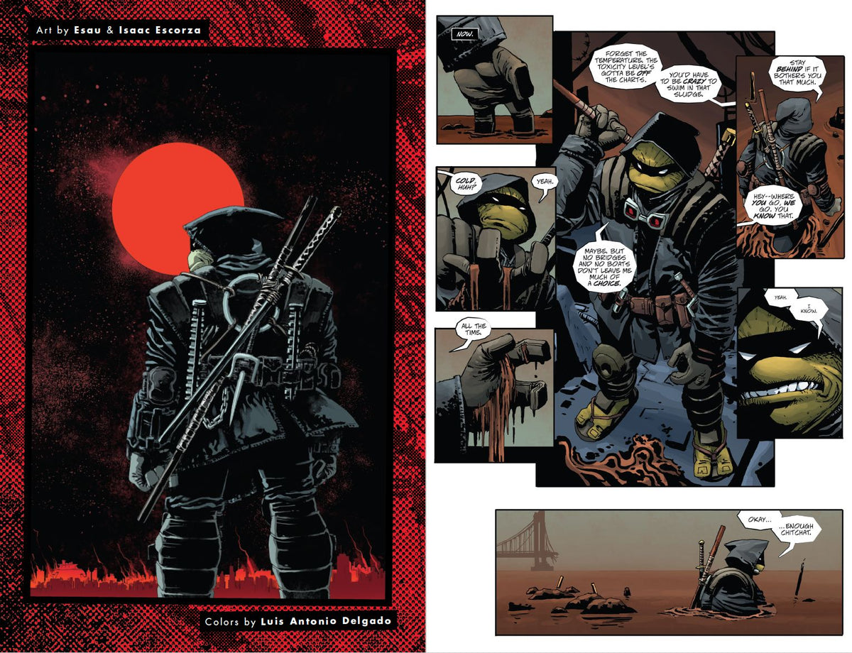 Teenage Mutant Ninja Turtles: The Last Ronin