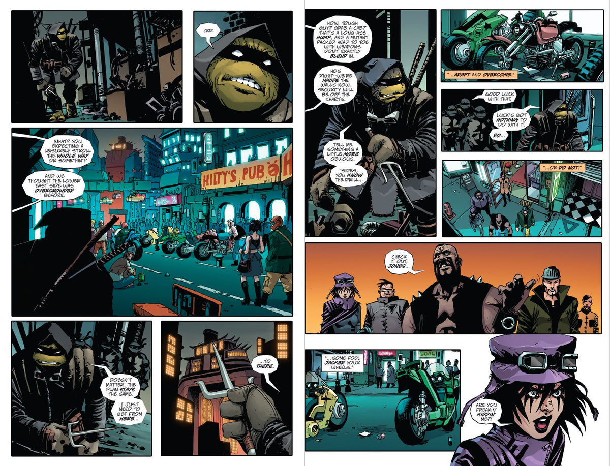 Teenage Mutant Ninja Turtles: The Last Ronin