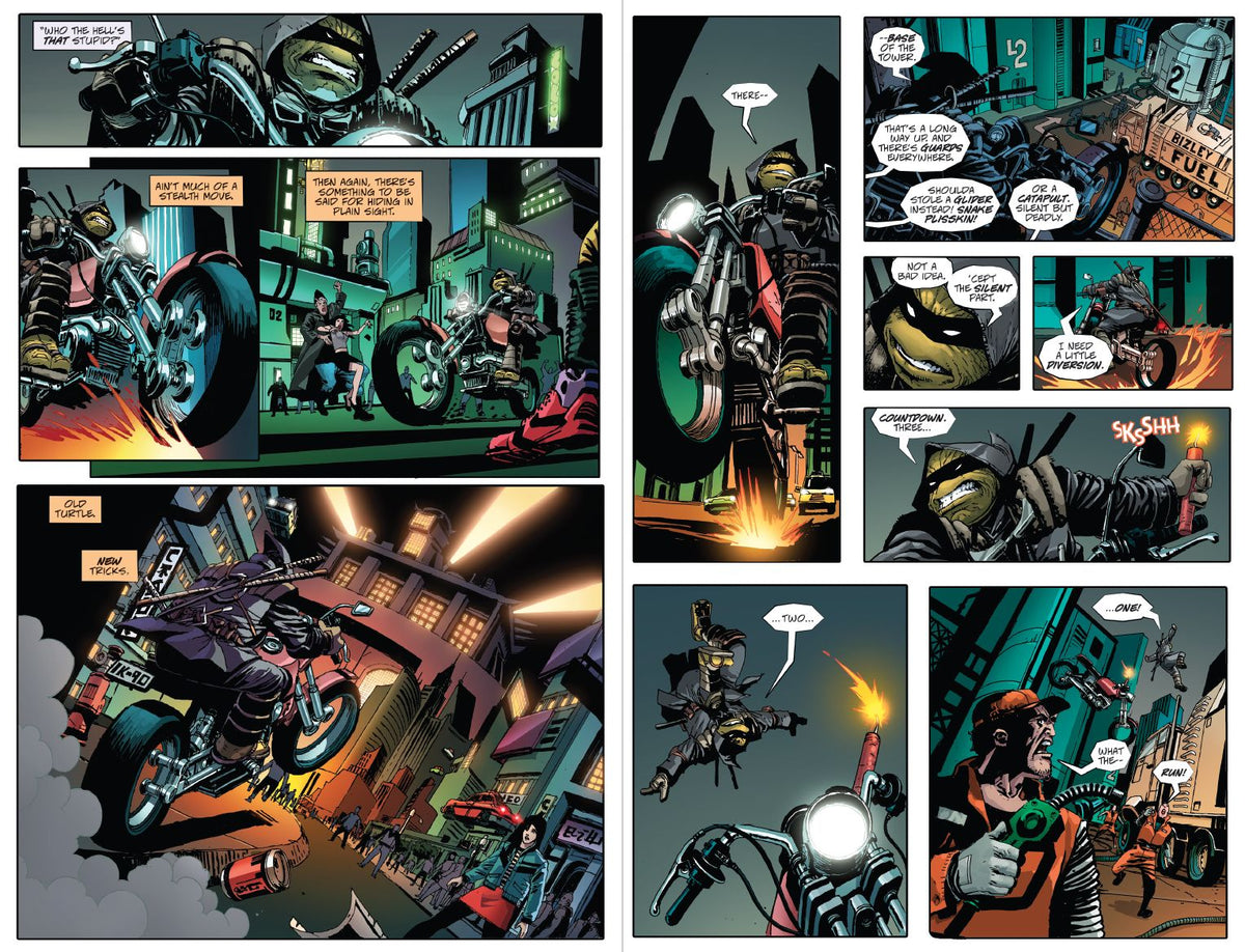 Teenage Mutant Ninja Turtles: The Last Ronin
