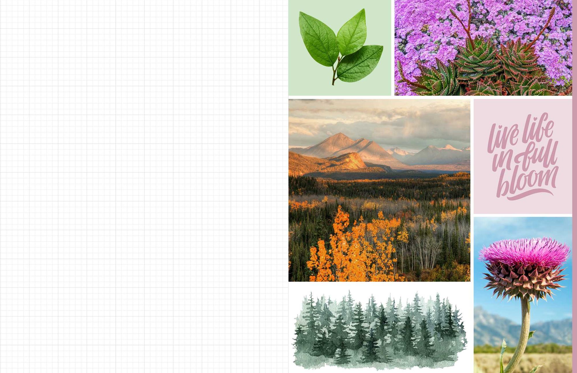 Cut & Collage National Parks: Beautiful Images of America's Natural Wonders