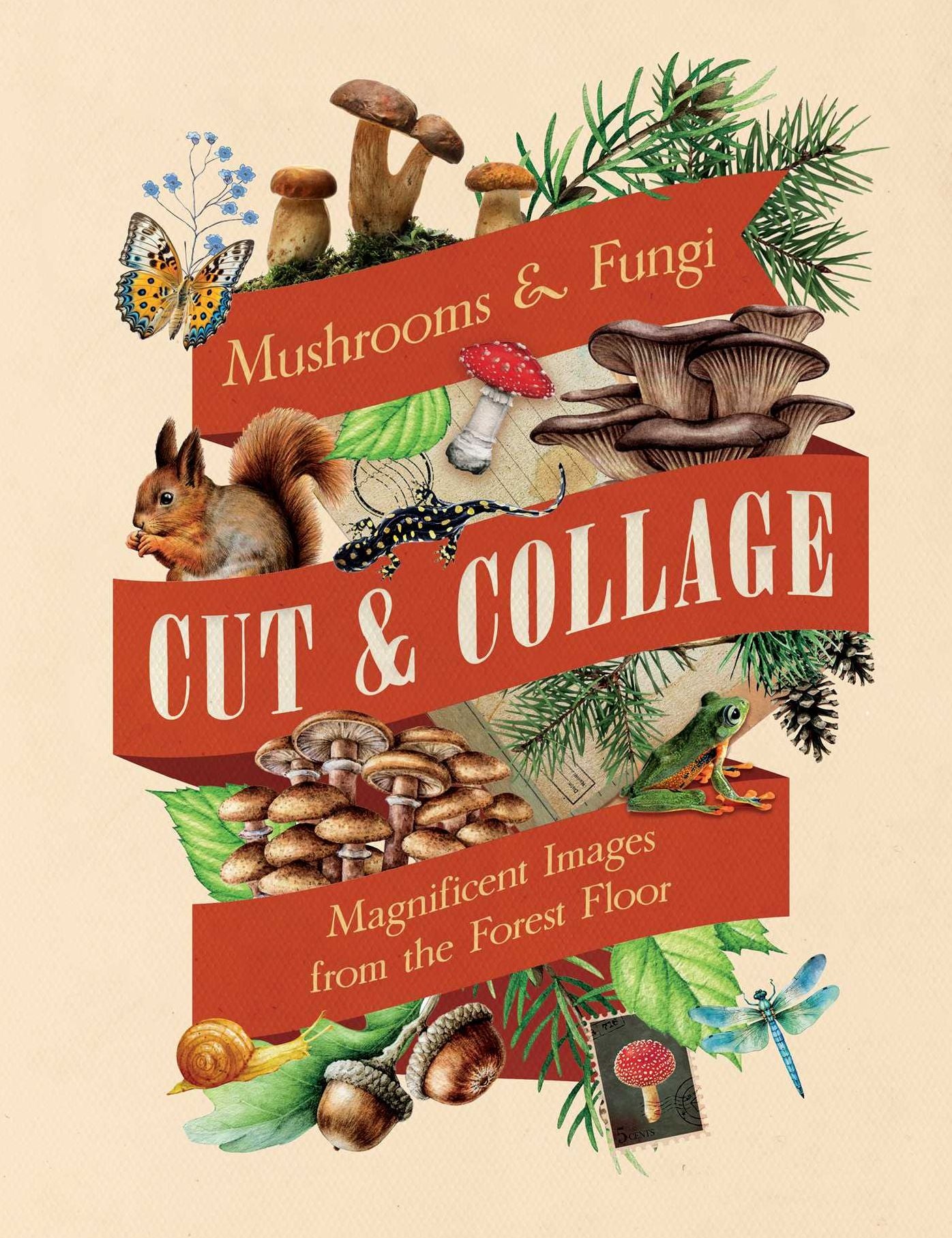 Cut & Collage Mushrooms and Fungi: Magnificent Images from the Forest Floor