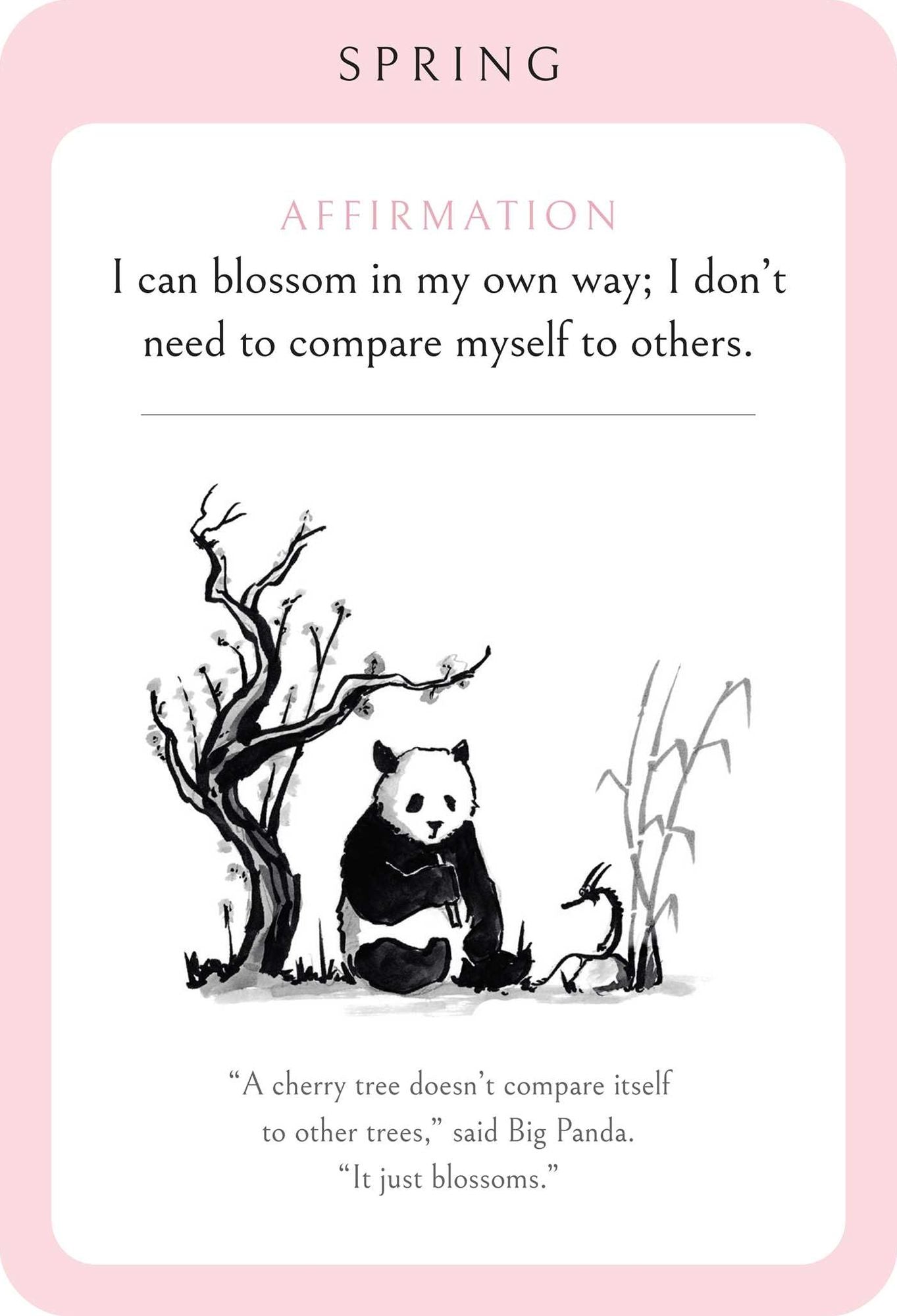 Big Panda and Tiny Dragon Affirmation Cards: Daily Inspiration for Strength and Serenity